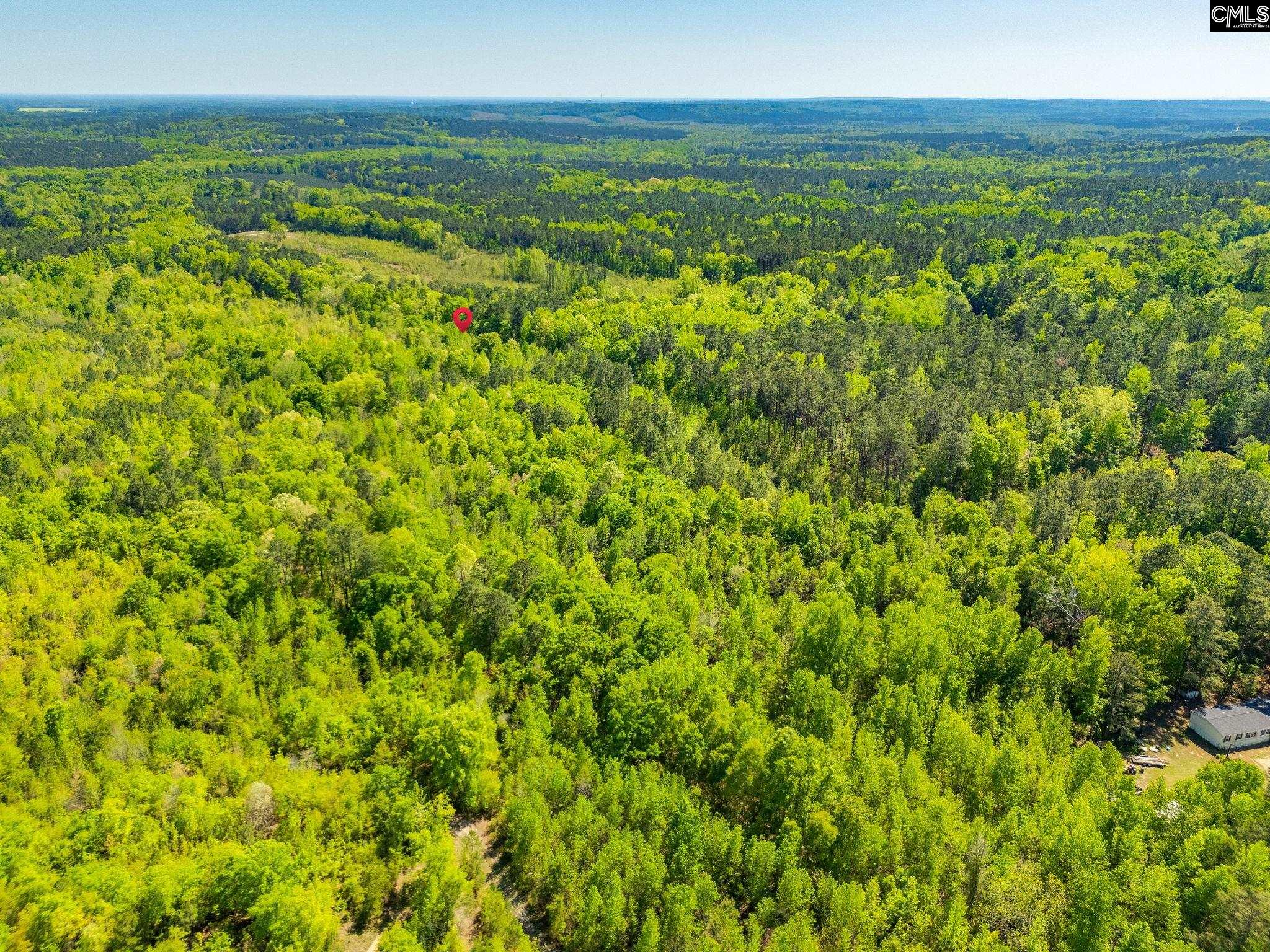 Black River Road, Rembert, South Carolina image 3