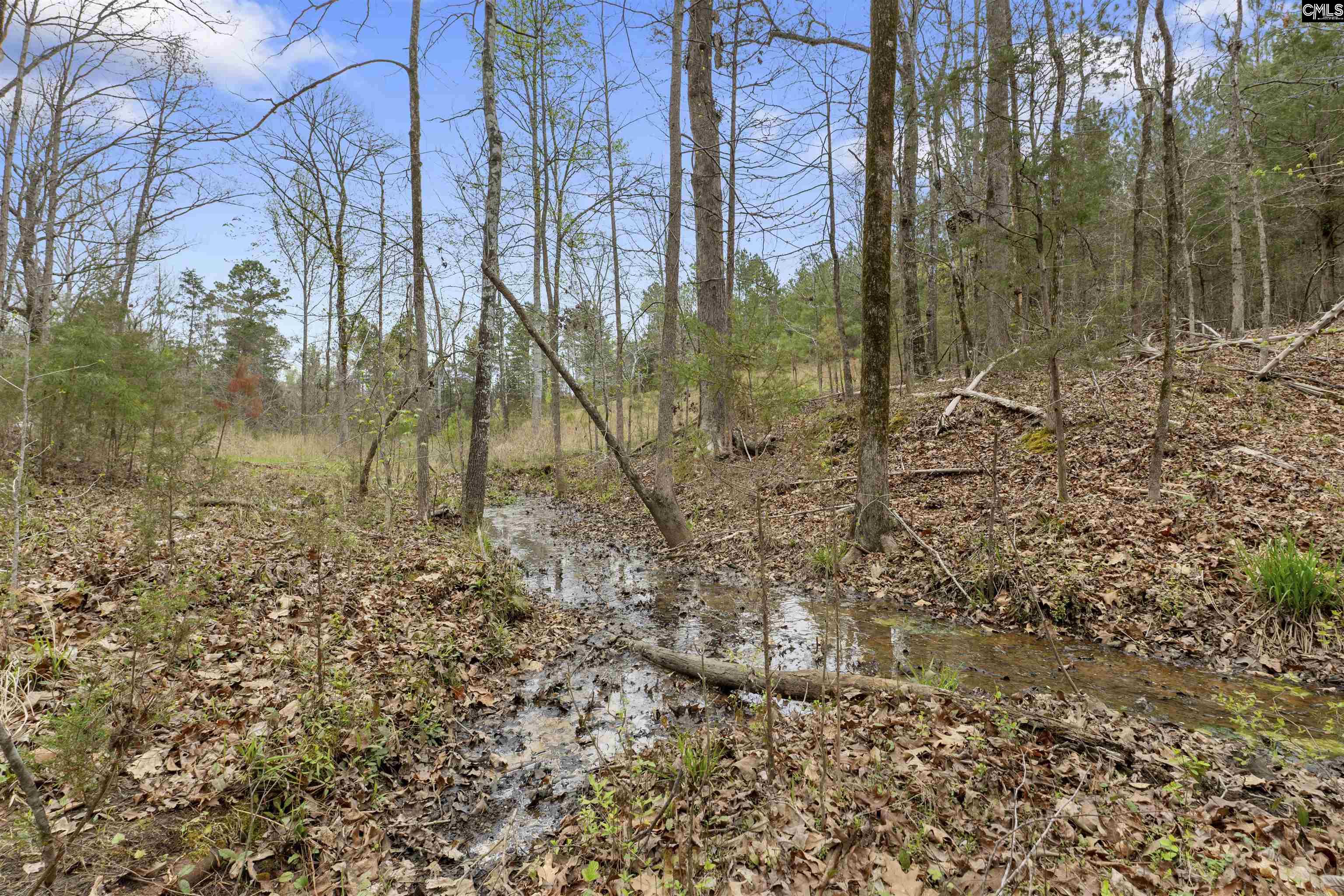 2482 Old Douglass Road Winnsboro, SC 29180-7799