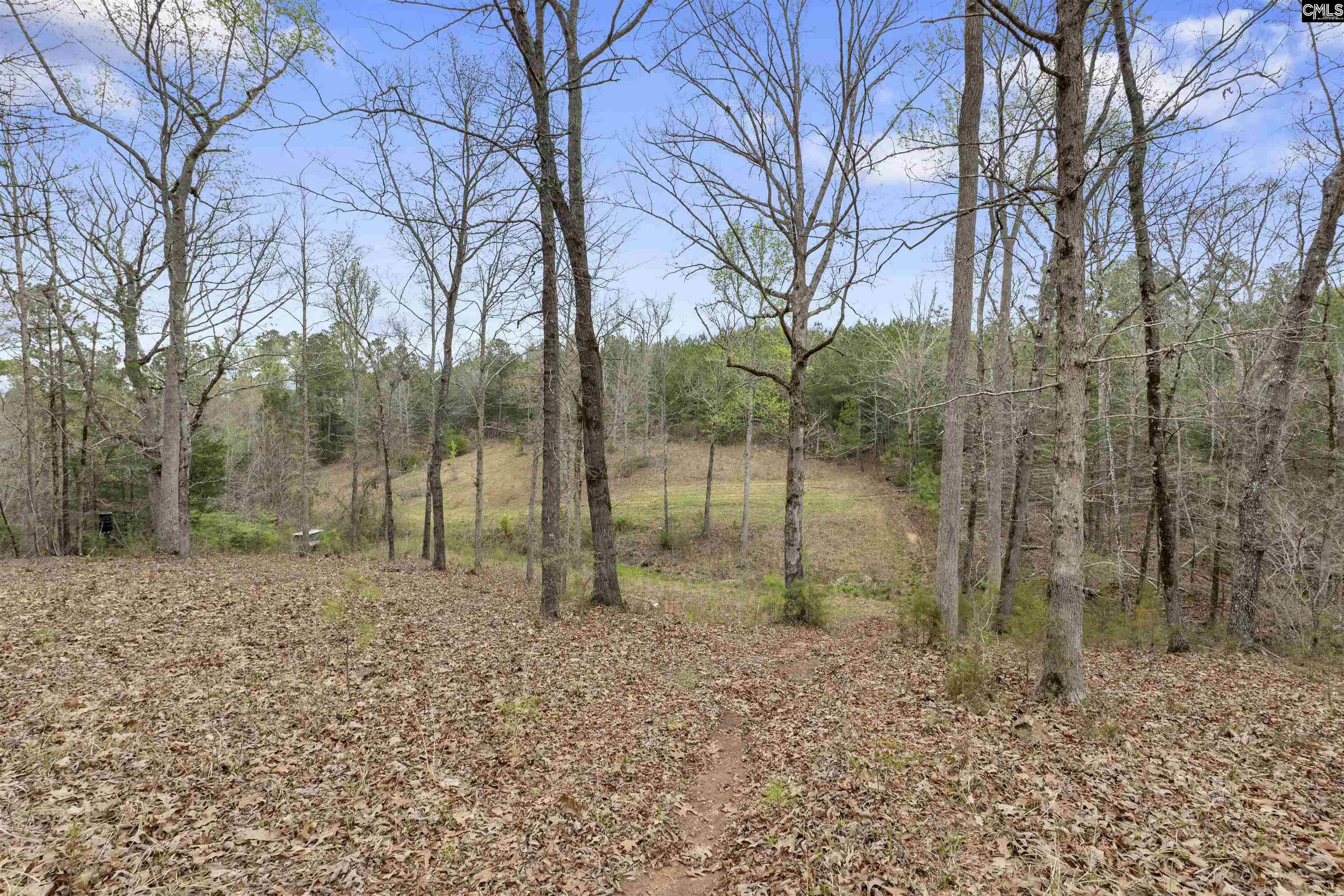 2482 Old Douglass Road Winnsboro, SC 29180-7799