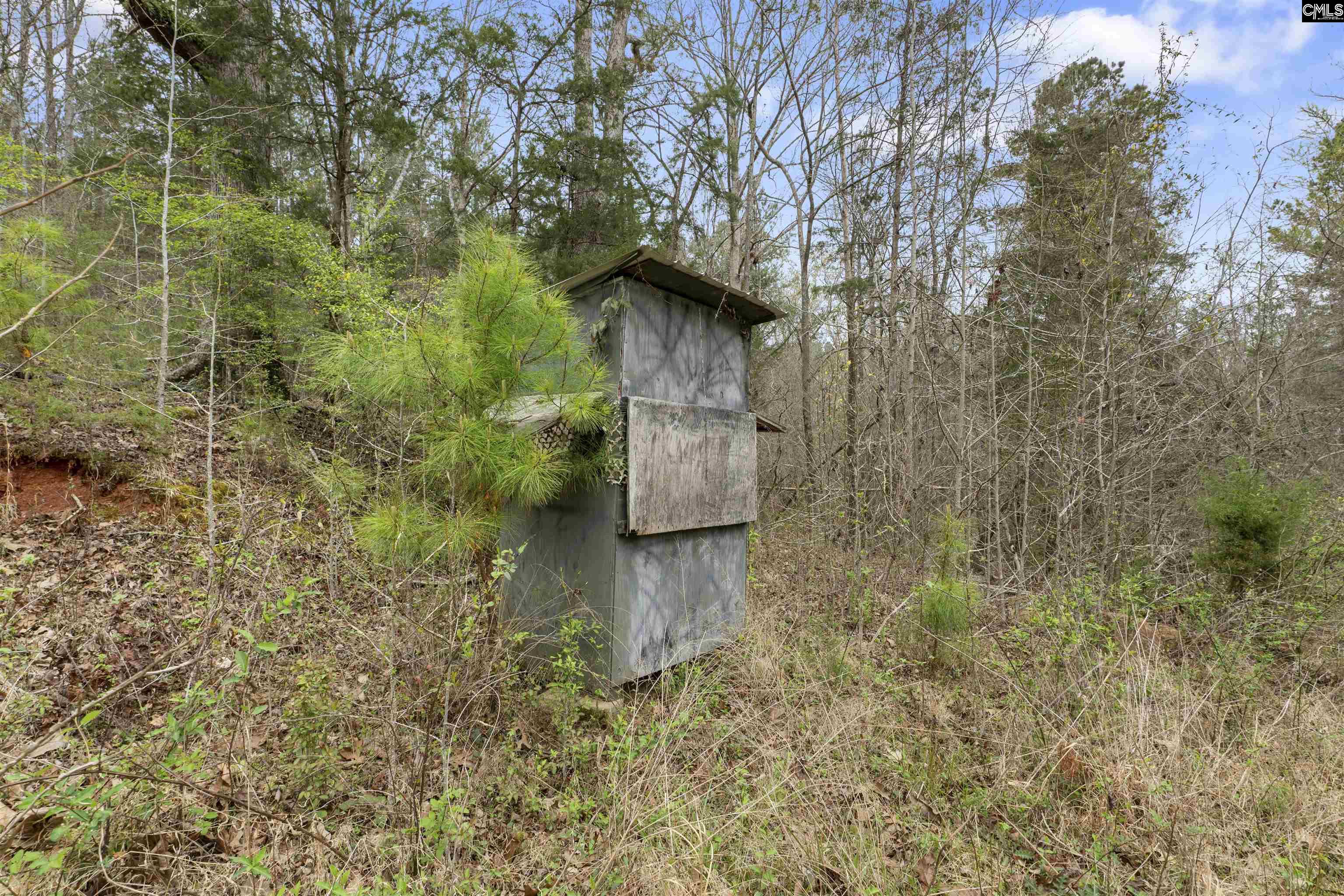 2482 Old Douglass Road, Winnsboro, South Carolina image 6