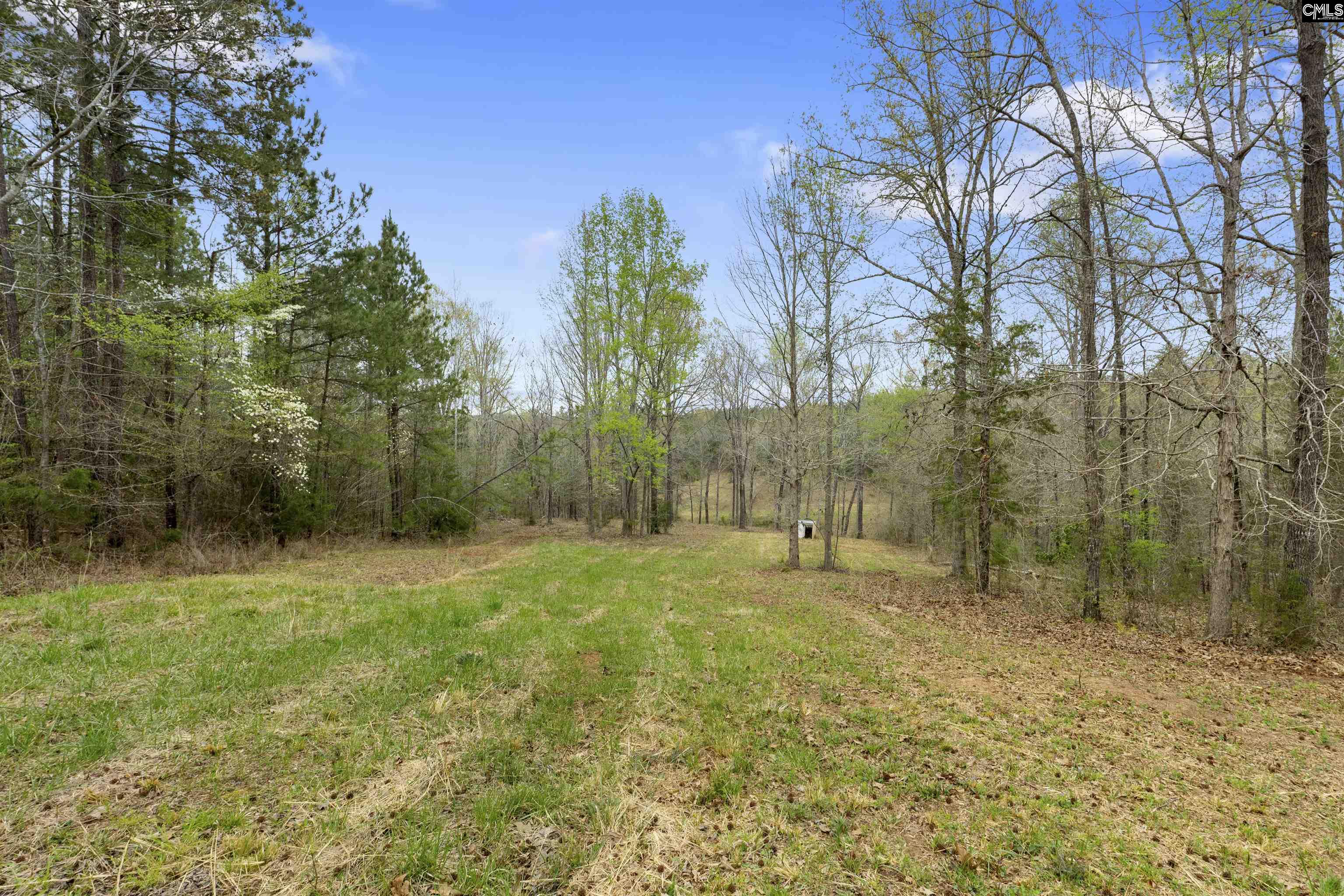 2482 Old Douglass Road, Winnsboro, South Carolina image 9