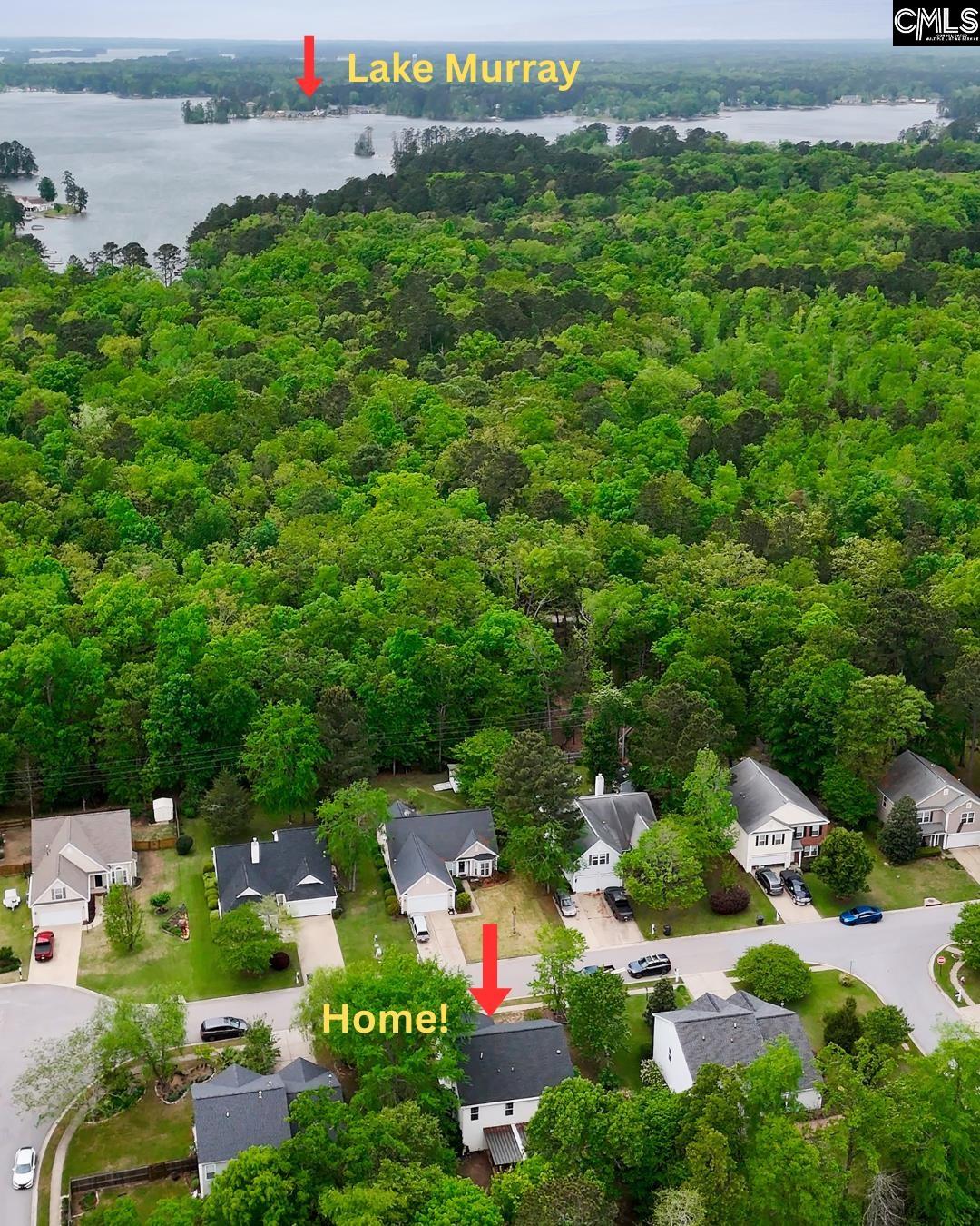 173 Eagle Pointe Drive Chapin, SC 29036