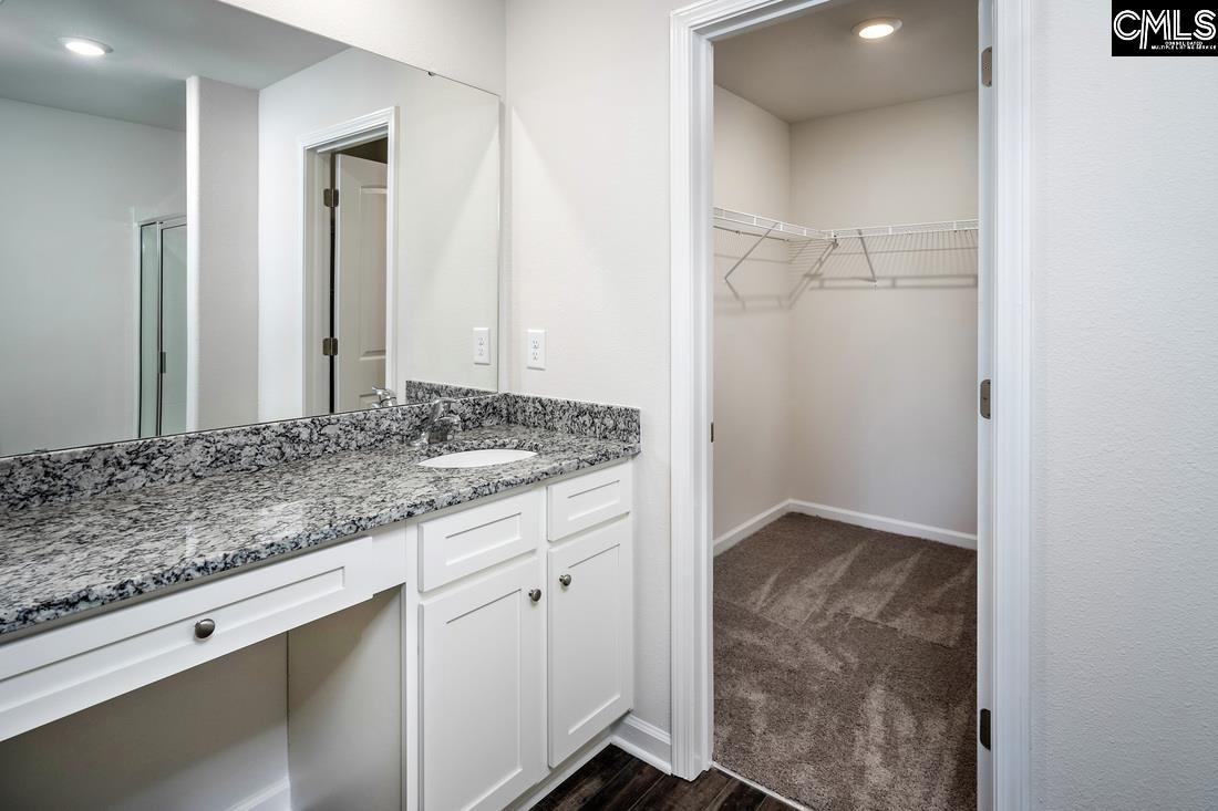 A walk-in shower and a large vanity are showcased in the master bath.