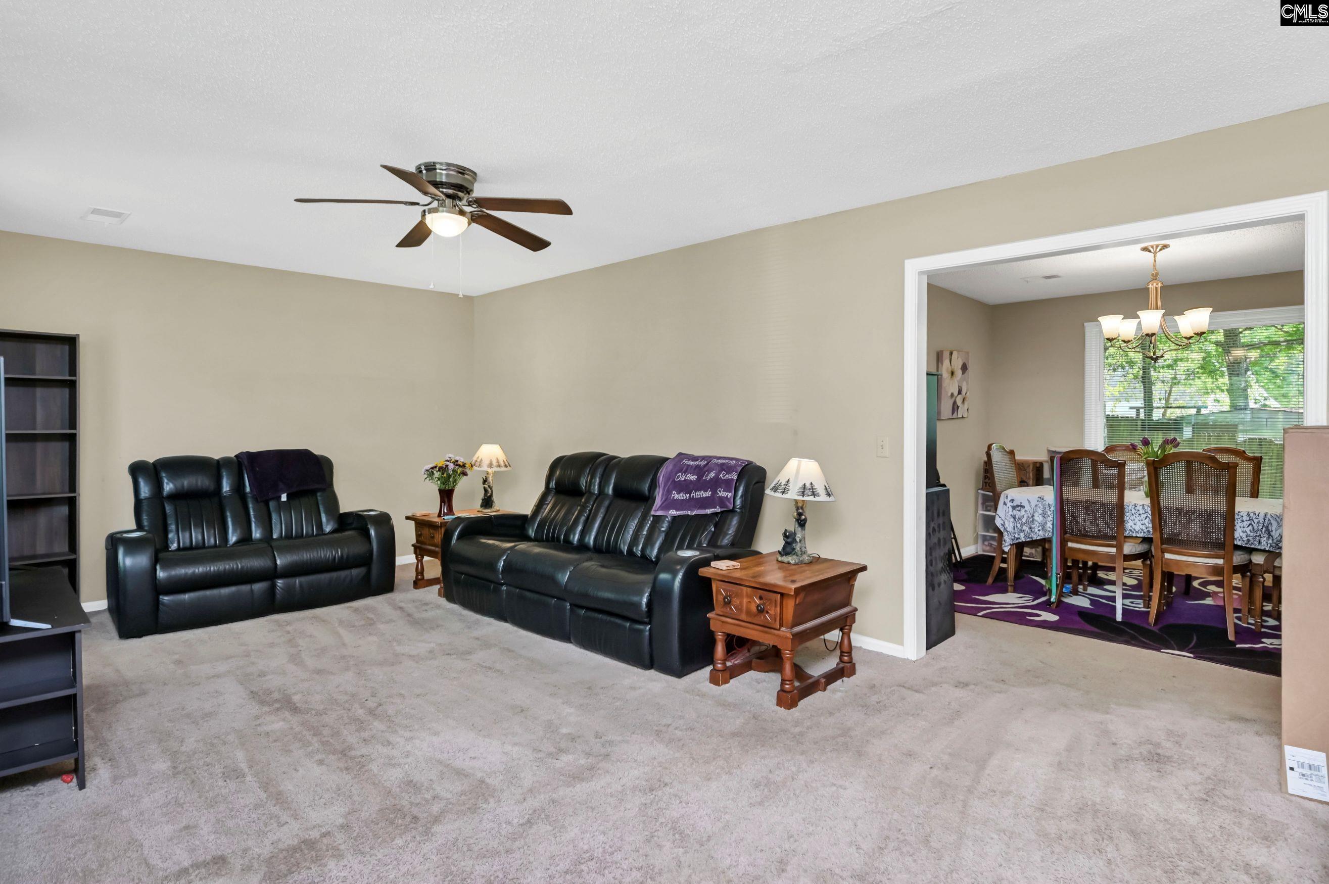 205 Dyers Hall Road, Irmo, South Carolina image 19