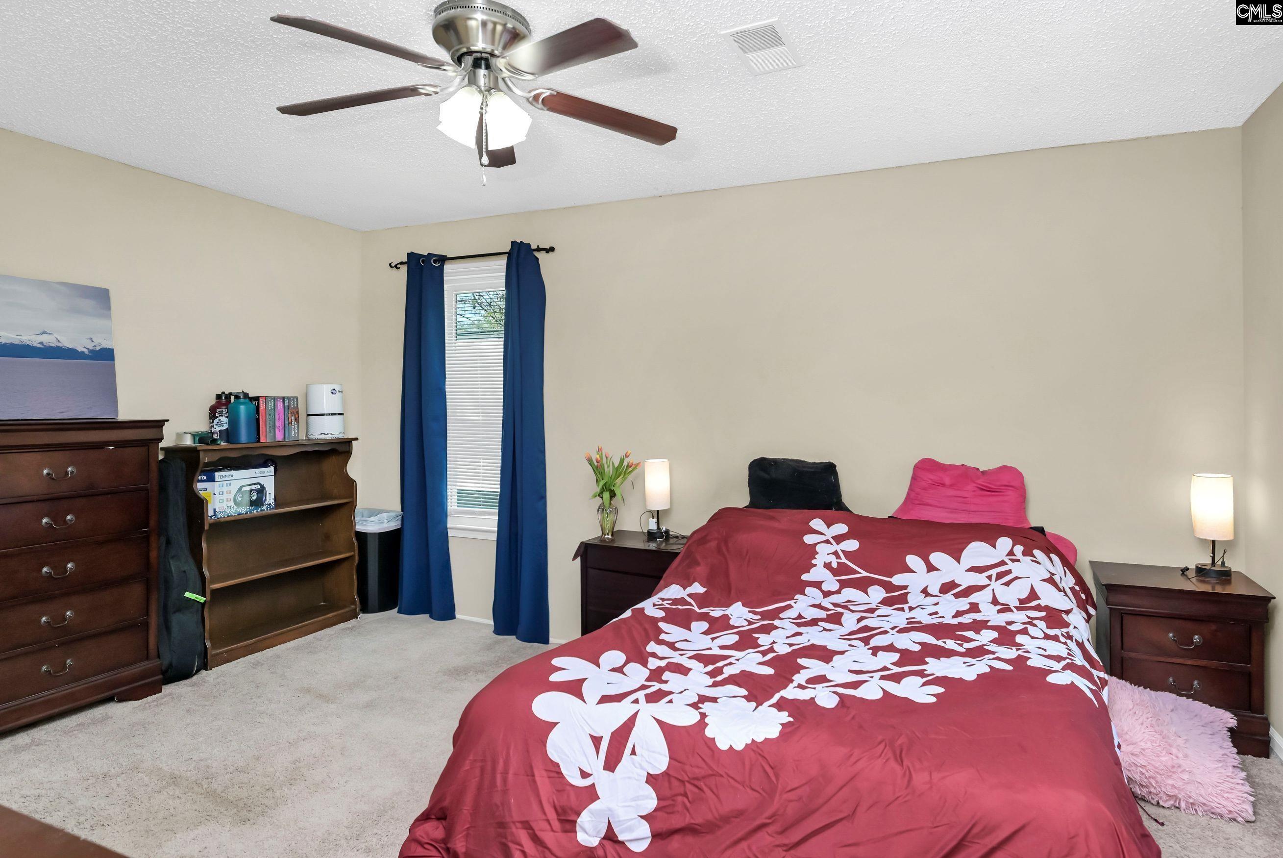 205 Dyers Hall Road, Irmo, South Carolina image 32