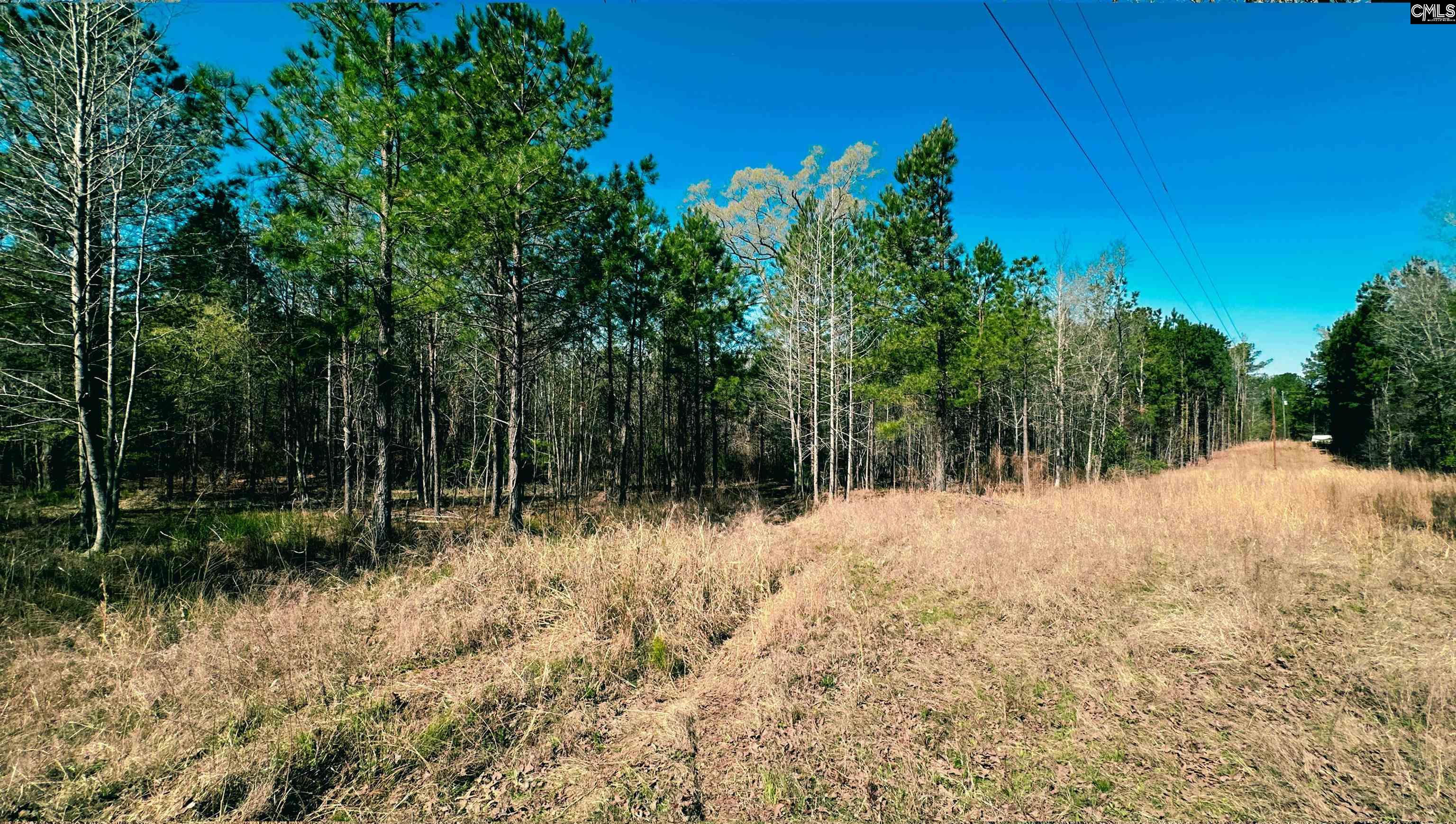 511 Moses Road, Ridgeway, South Carolina image 2
