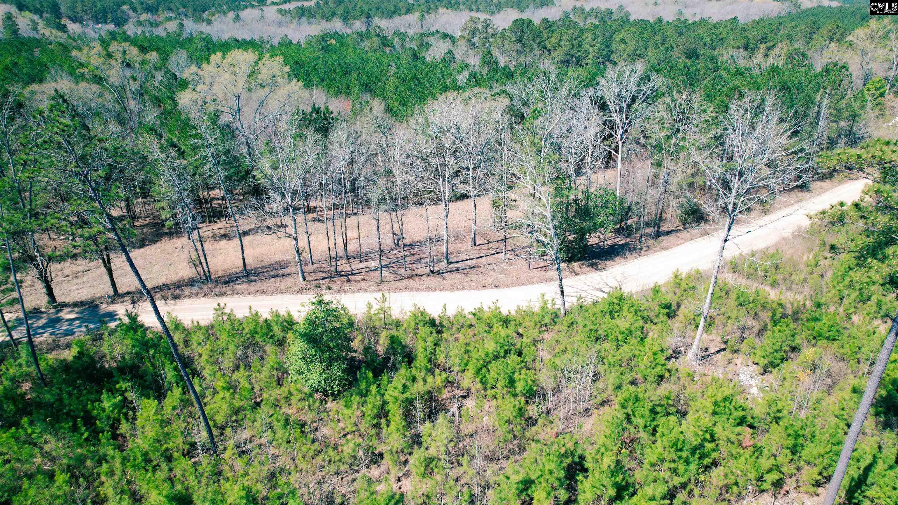 511 Moses Road, Ridgeway, South Carolina image 14