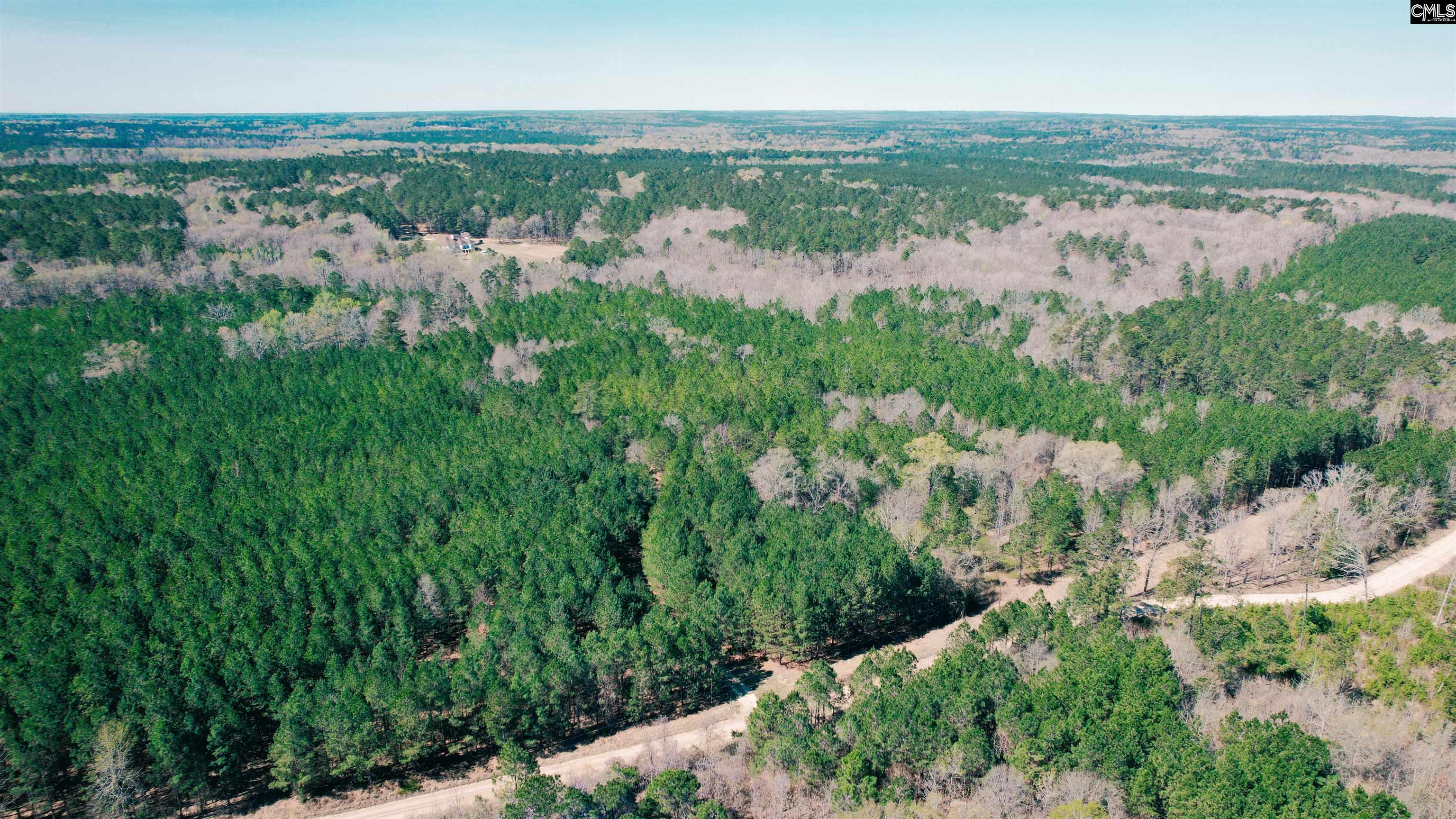511 Moses Road, Ridgeway, South Carolina image 15