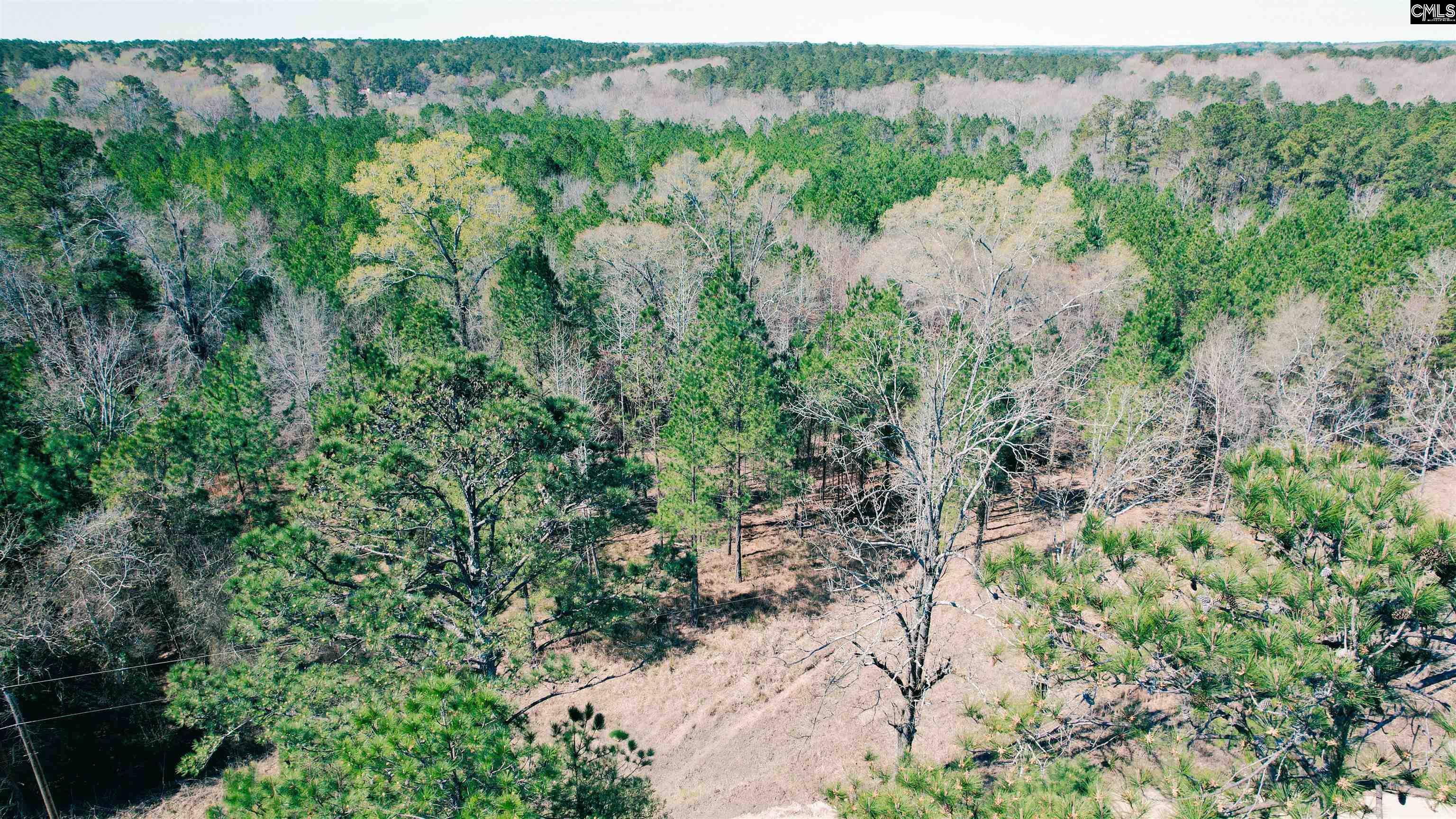 511 Moses Road, Ridgeway, South Carolina image 20