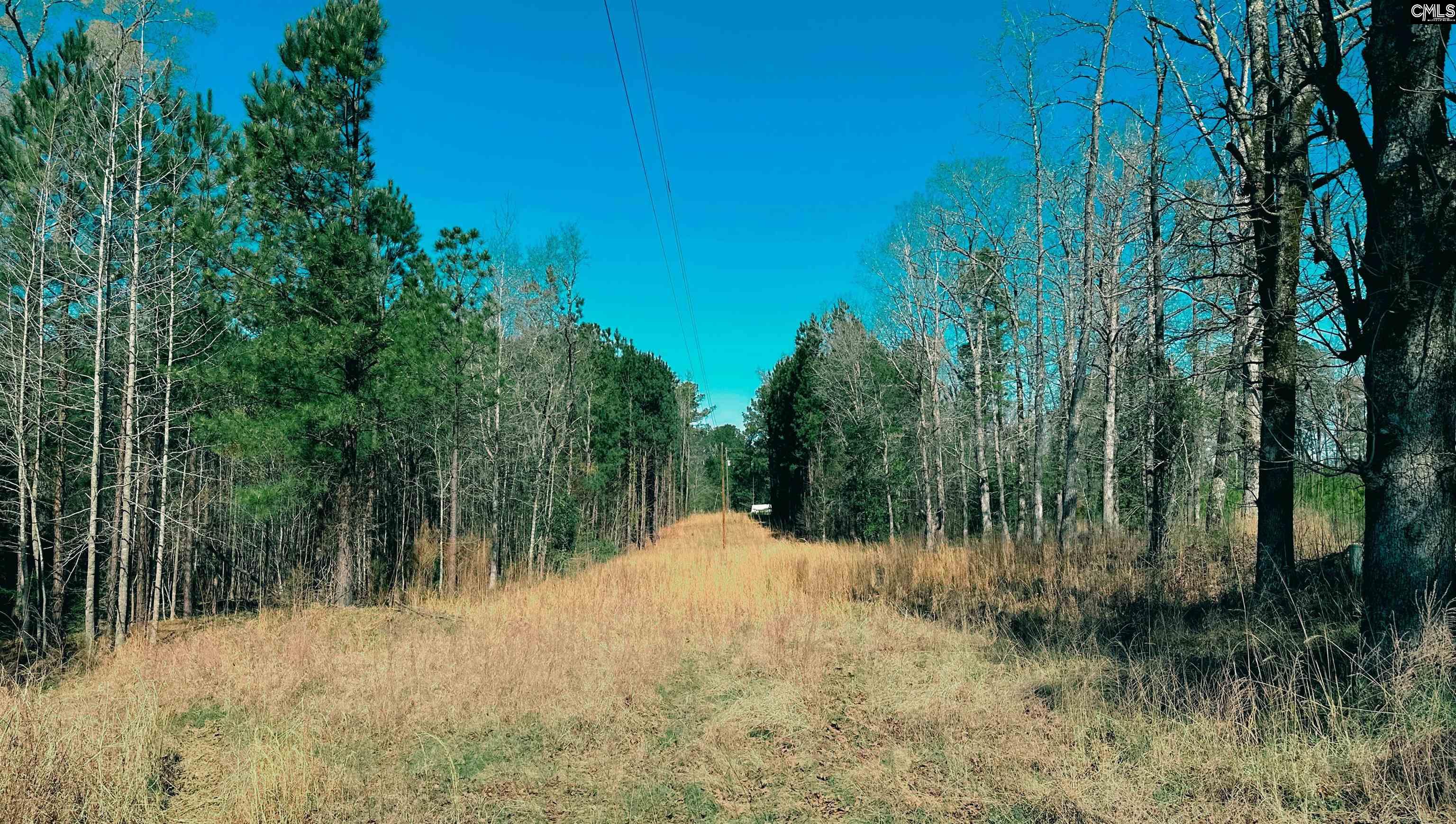 511 Moses Road, Ridgeway, South Carolina image 3