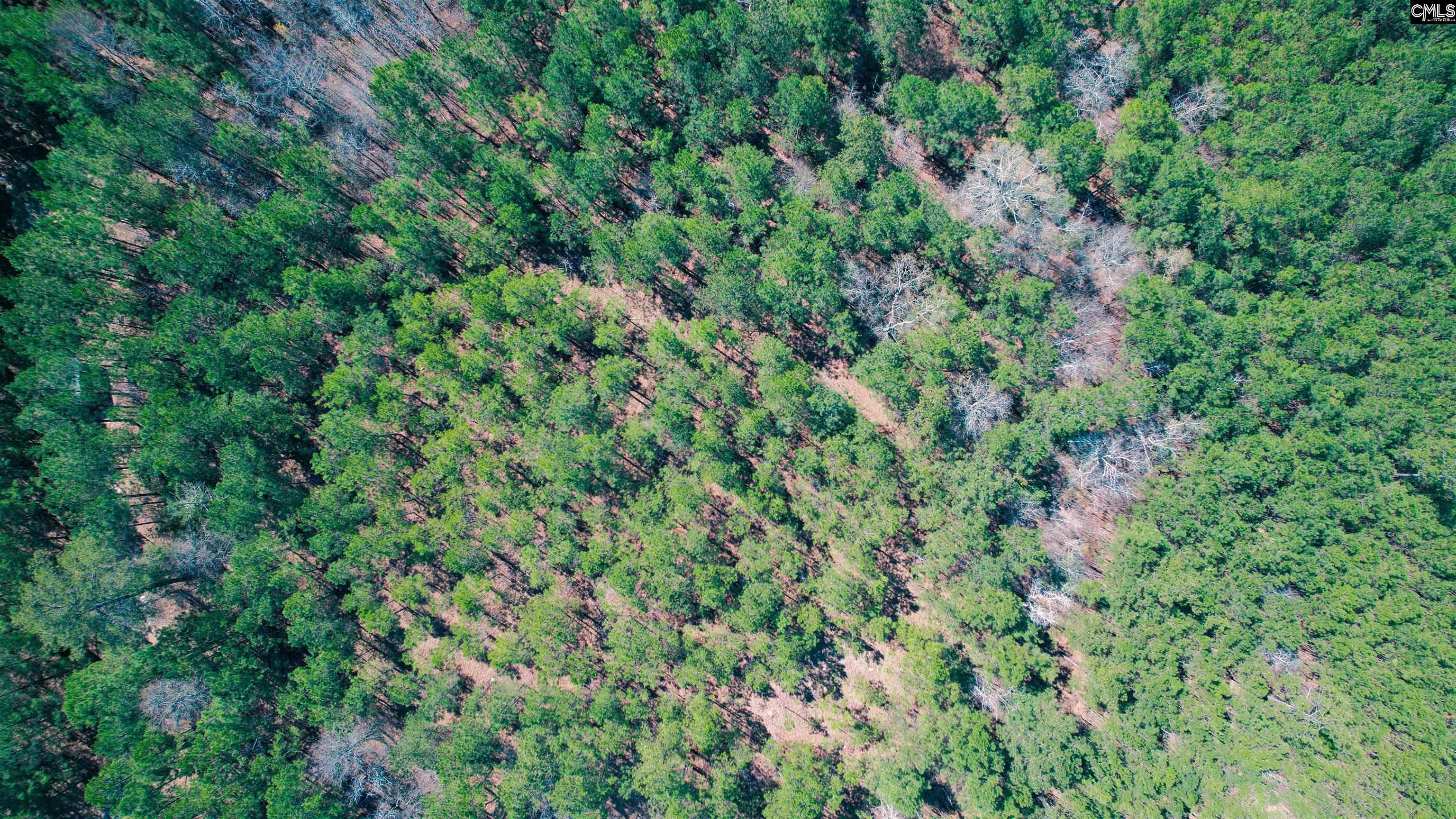 511 Moses Road, Ridgeway, South Carolina image 23