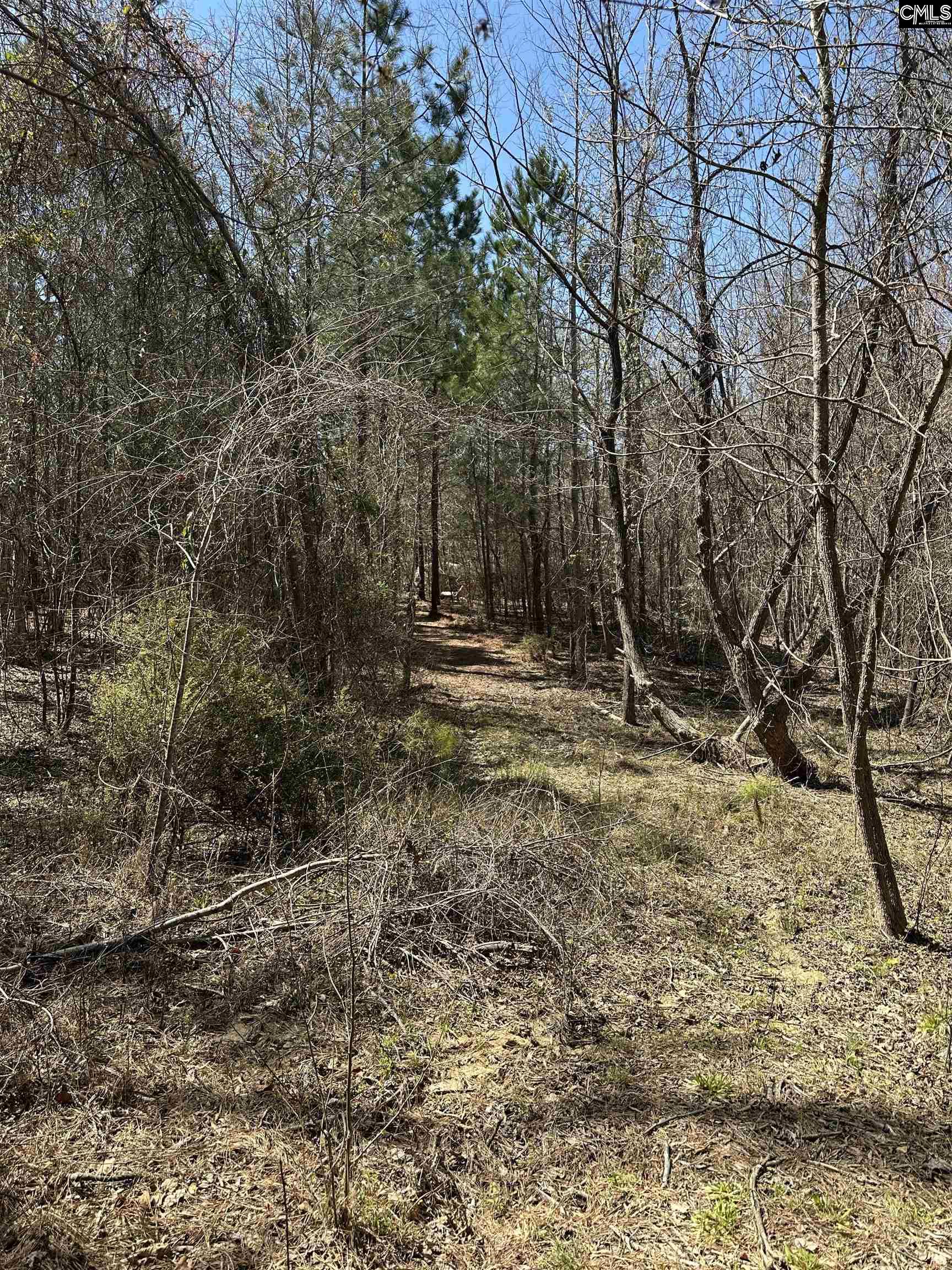 511 Moses Road, Ridgeway, South Carolina image 5