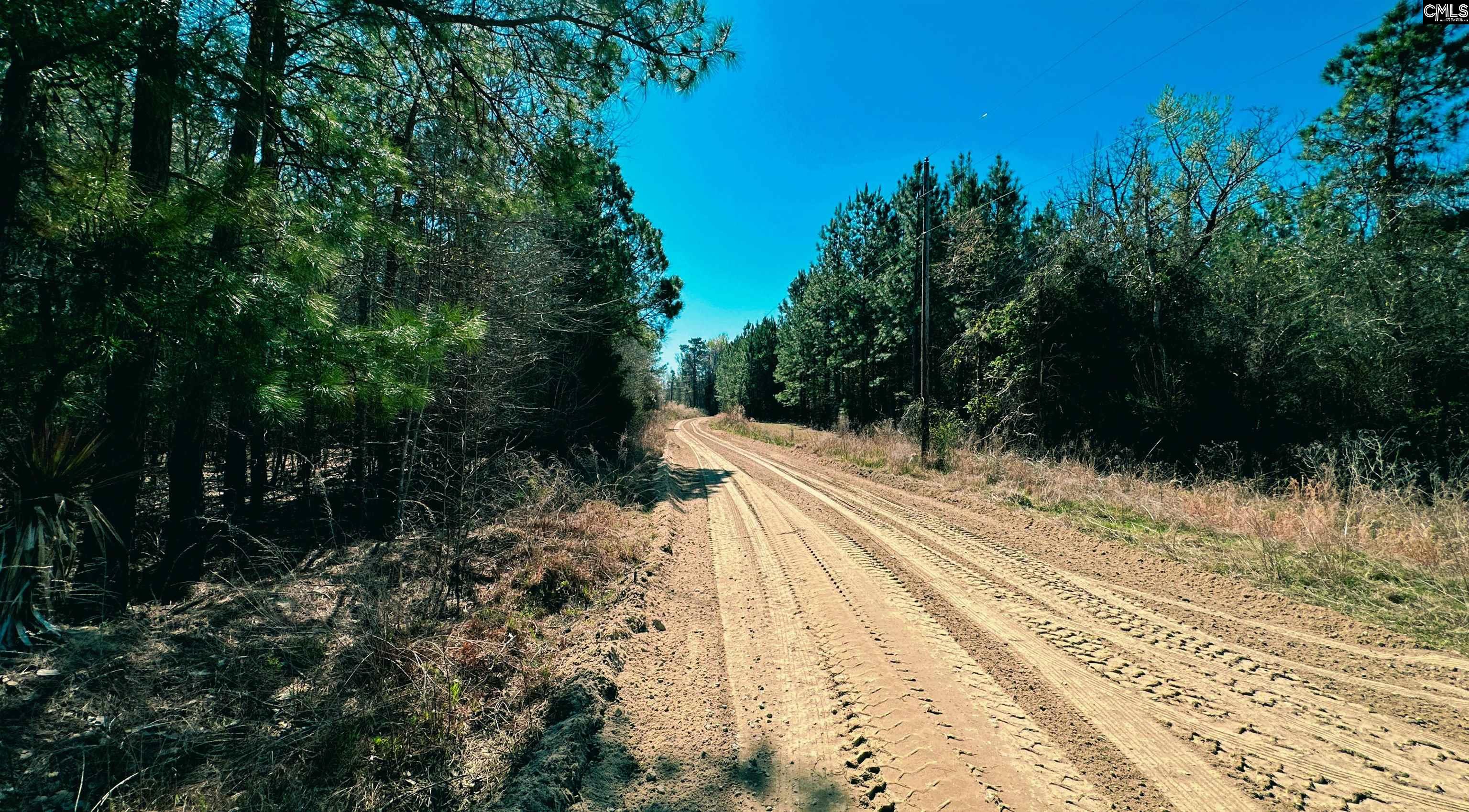 511 Moses Road, Ridgeway, South Carolina image 7