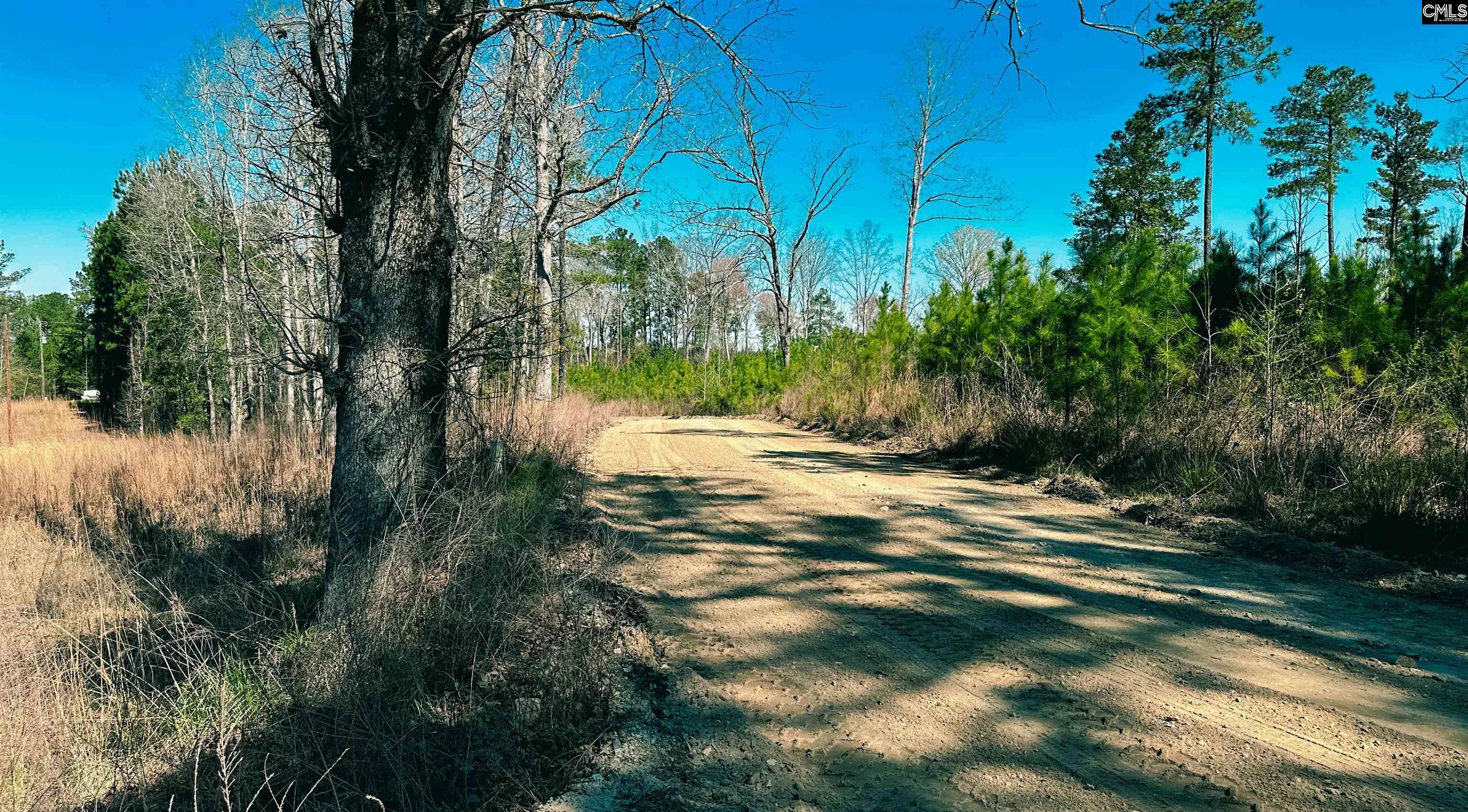 511 Moses Road, Ridgeway, South Carolina image 8