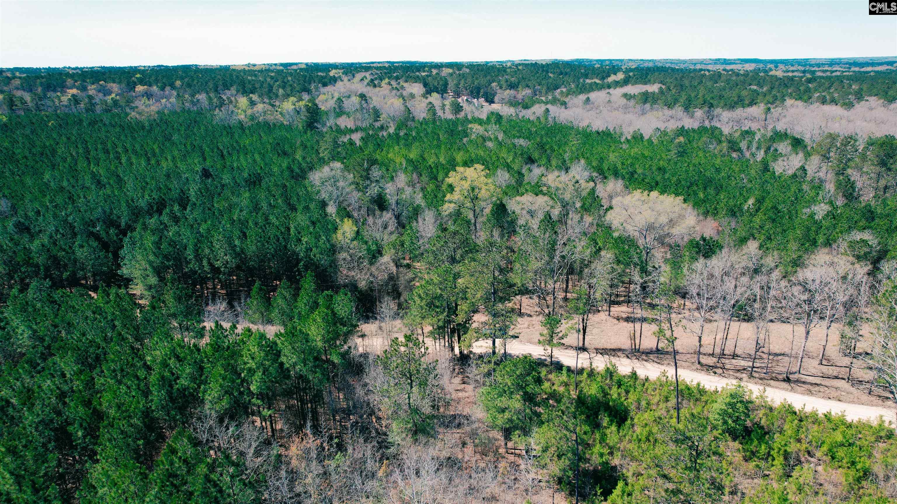 511 Moses Road, Ridgeway, South Carolina image 10