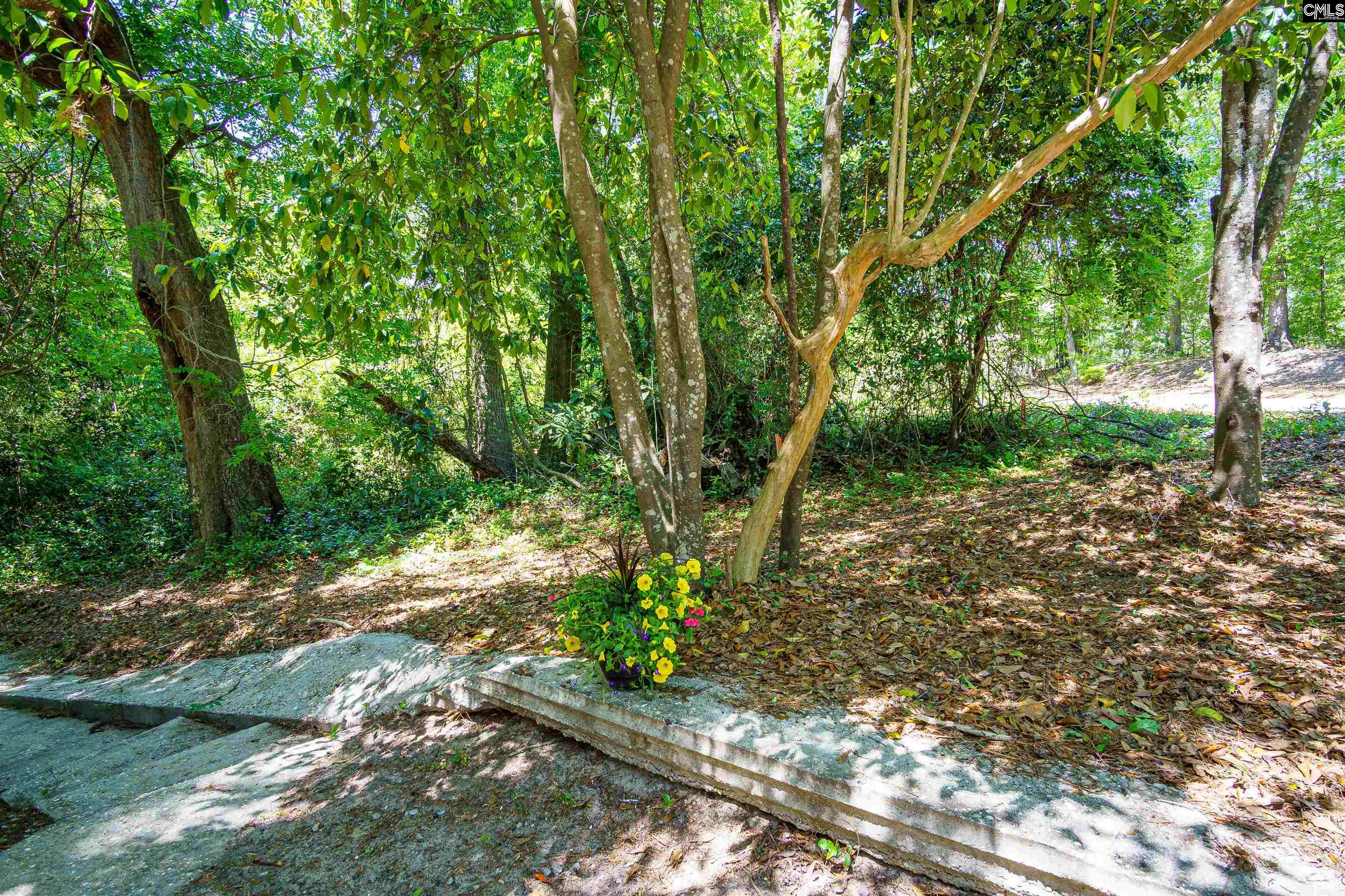 2421 Carter Street, Camden, South Carolina image 21
