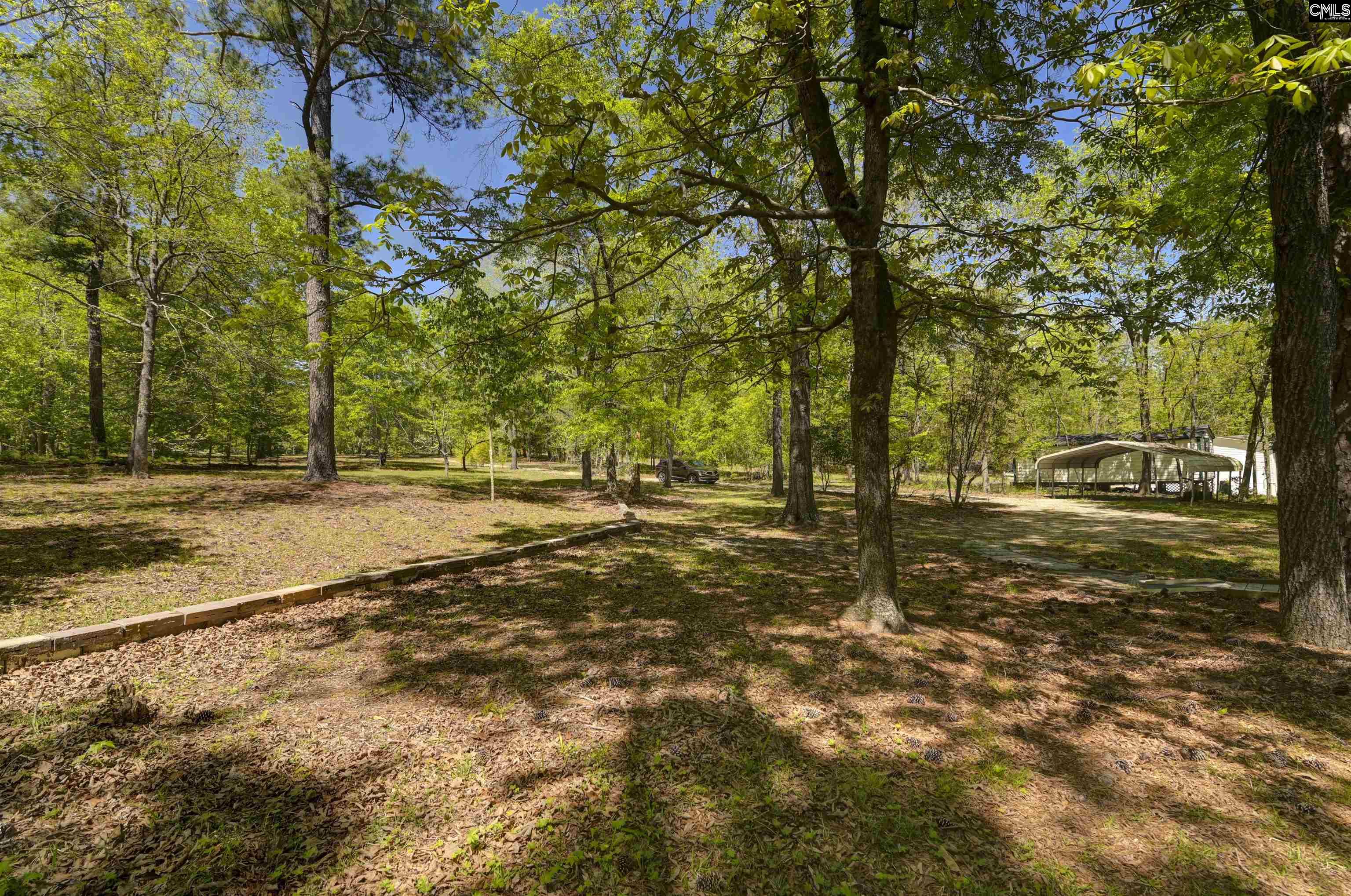 433 Calmont Drive, Swansea, South Carolina image 11