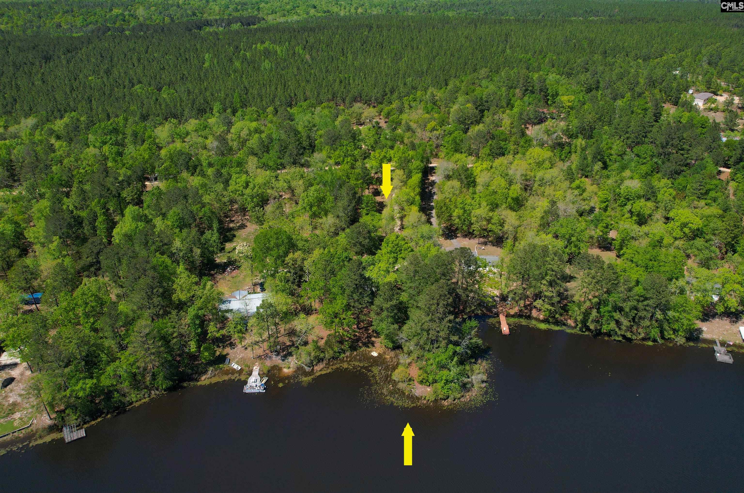433 Calmont Drive, Swansea, South Carolina image 3