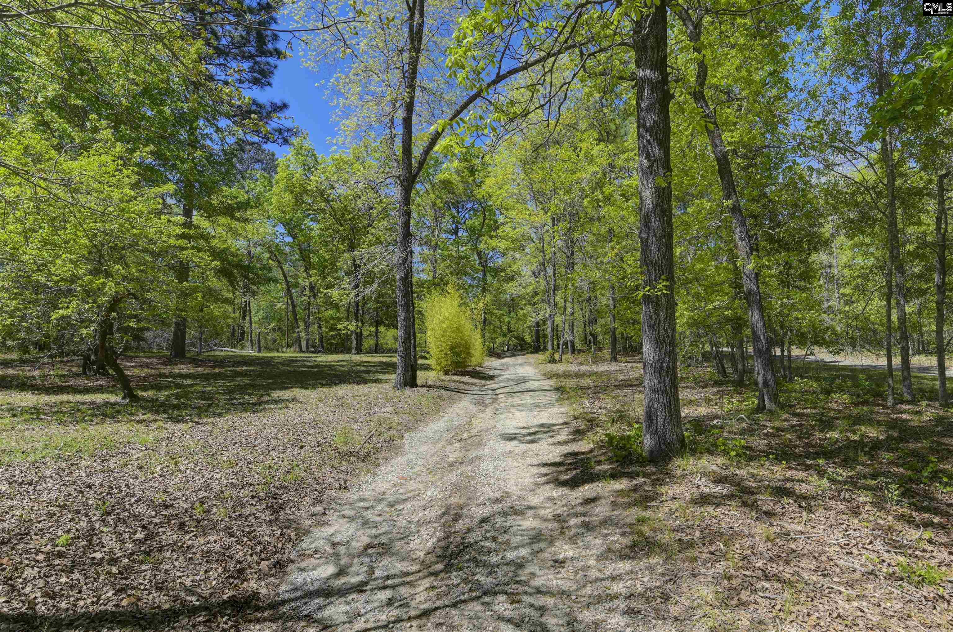 433 Calmont Drive, Swansea, South Carolina image 5