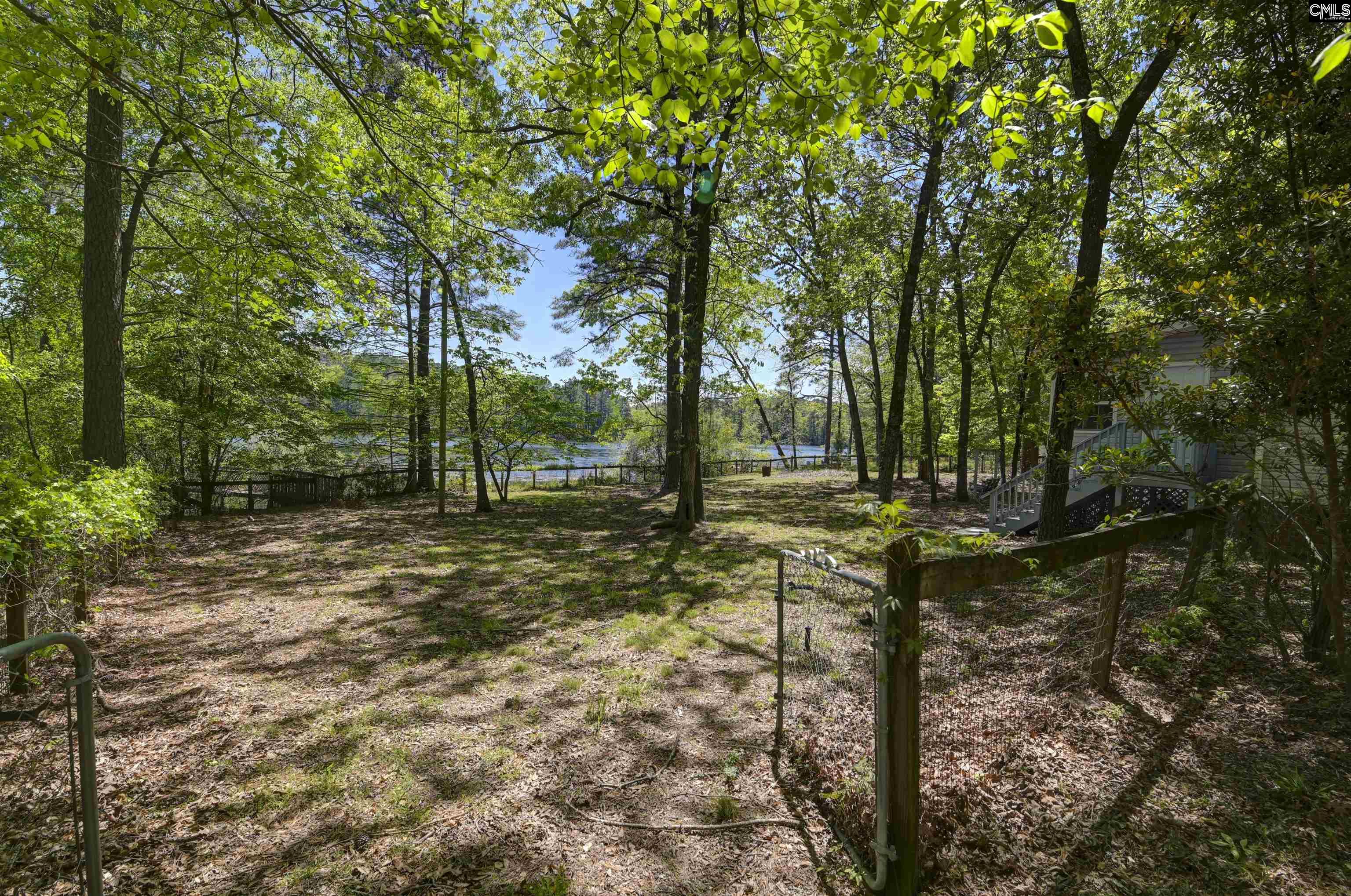 433 Calmont Drive, Swansea, South Carolina image 42