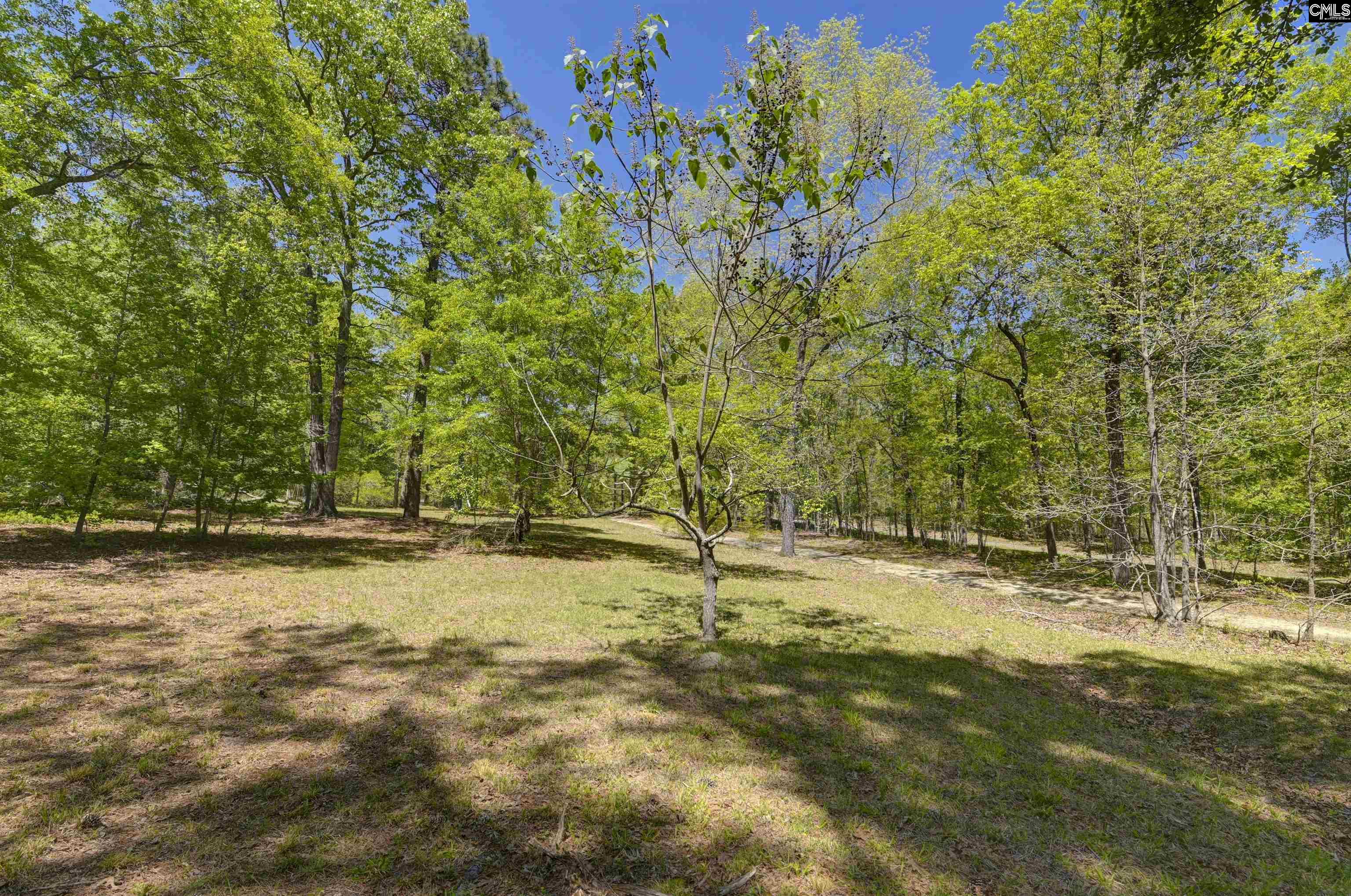 433 Calmont Drive, Swansea, South Carolina image 47