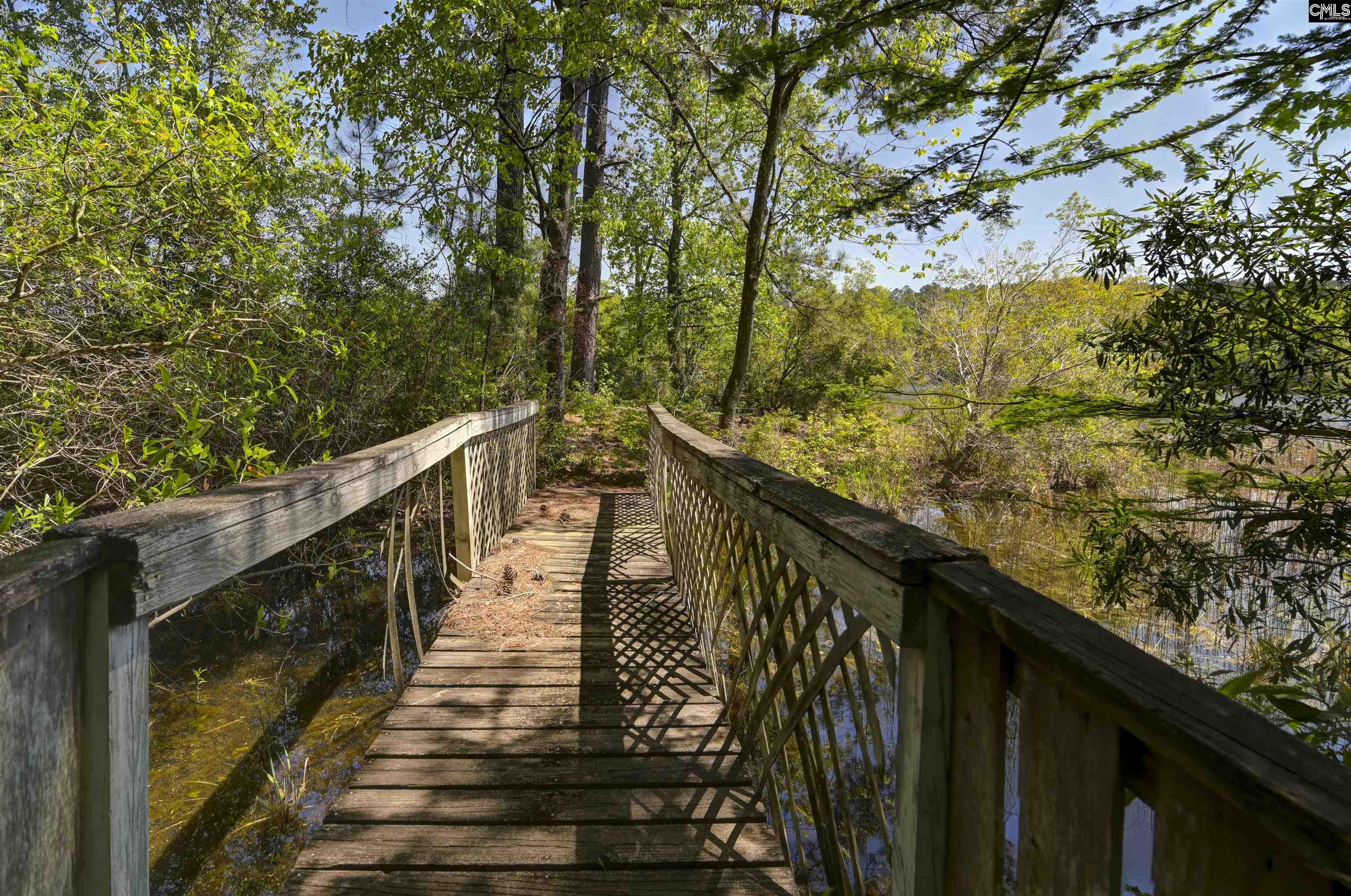433 Calmont Drive, Swansea, South Carolina image 49