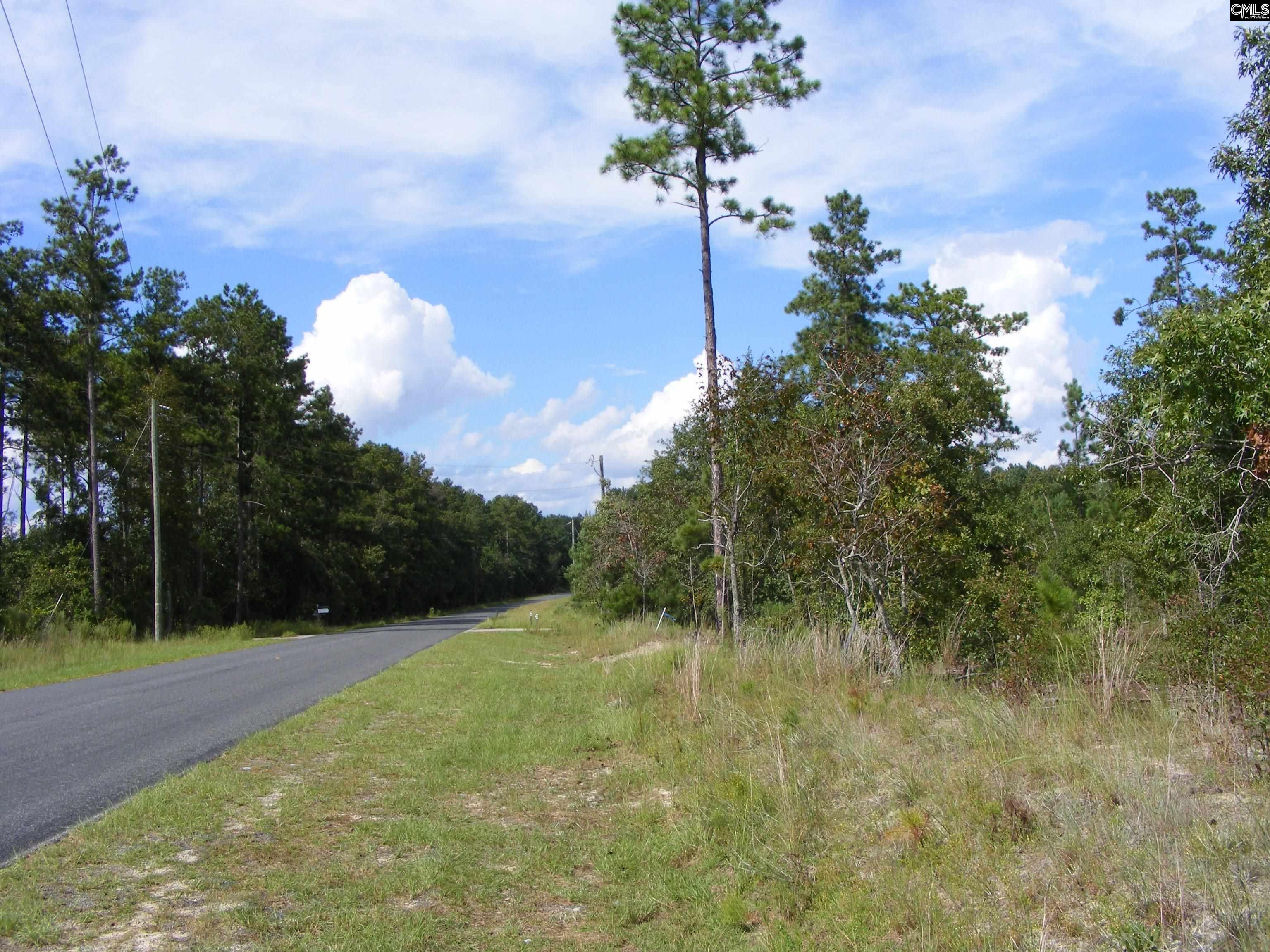 00 Az Road, North, South Carolina image 1