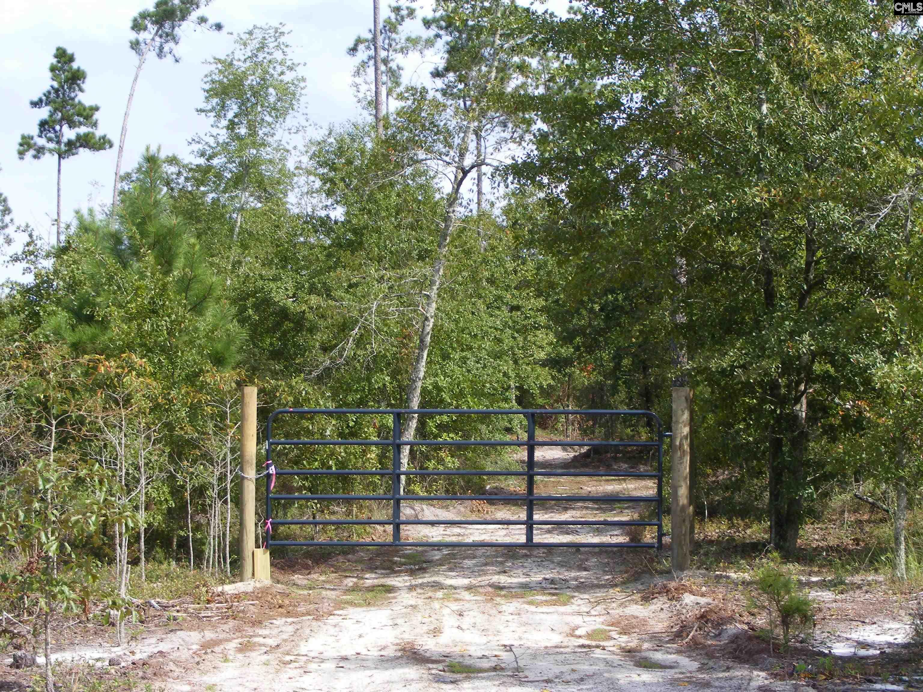 00 Az Road, North, South Carolina image 2