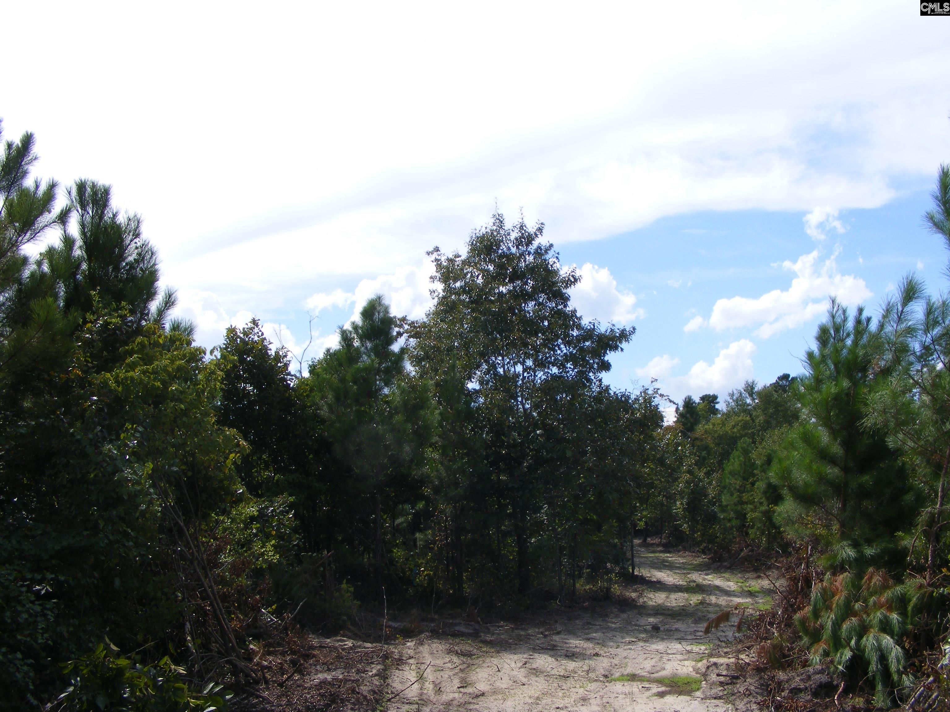 00 Az Road, North, South Carolina image 12