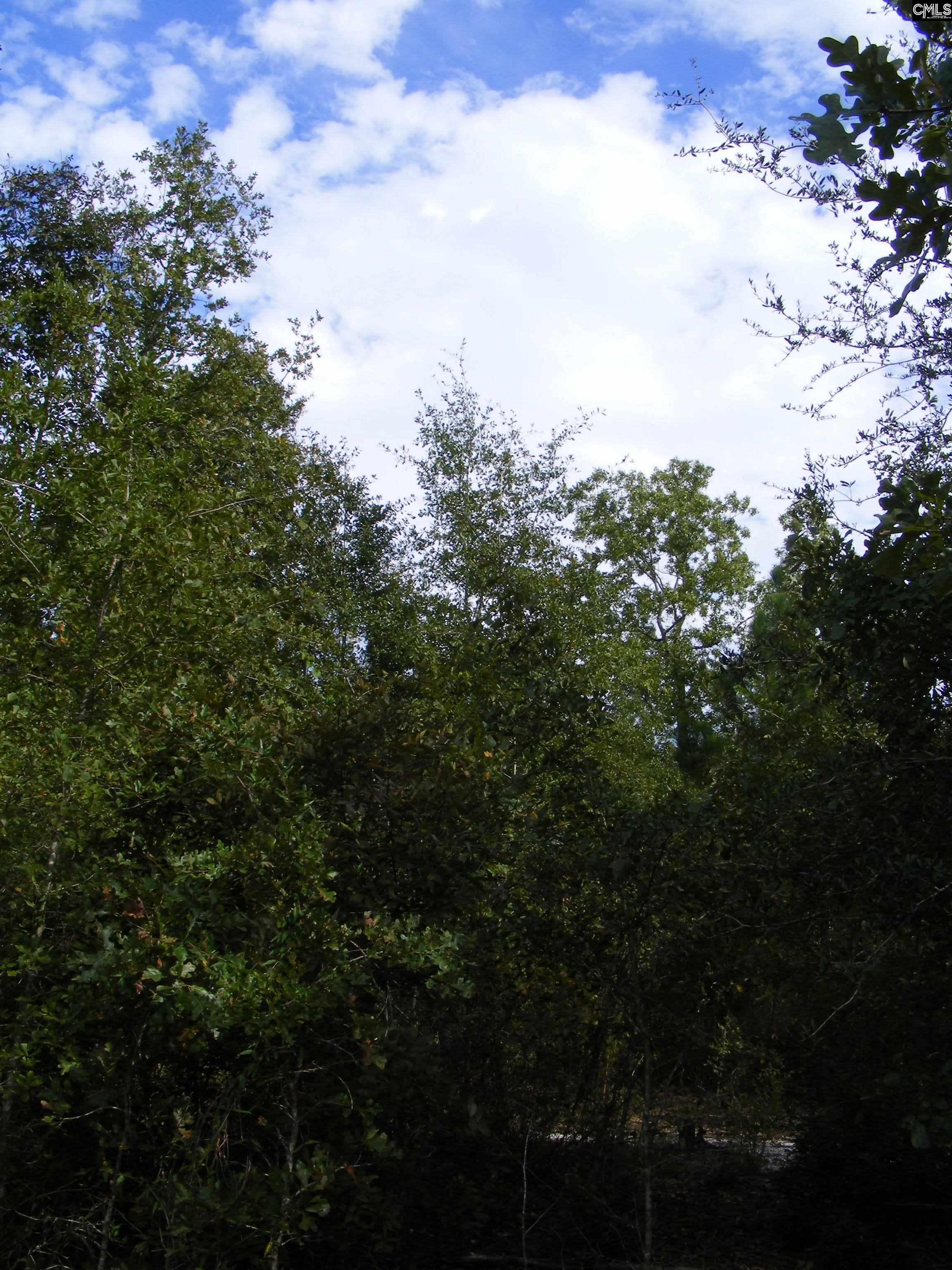 00 Az Road, North, South Carolina image 14