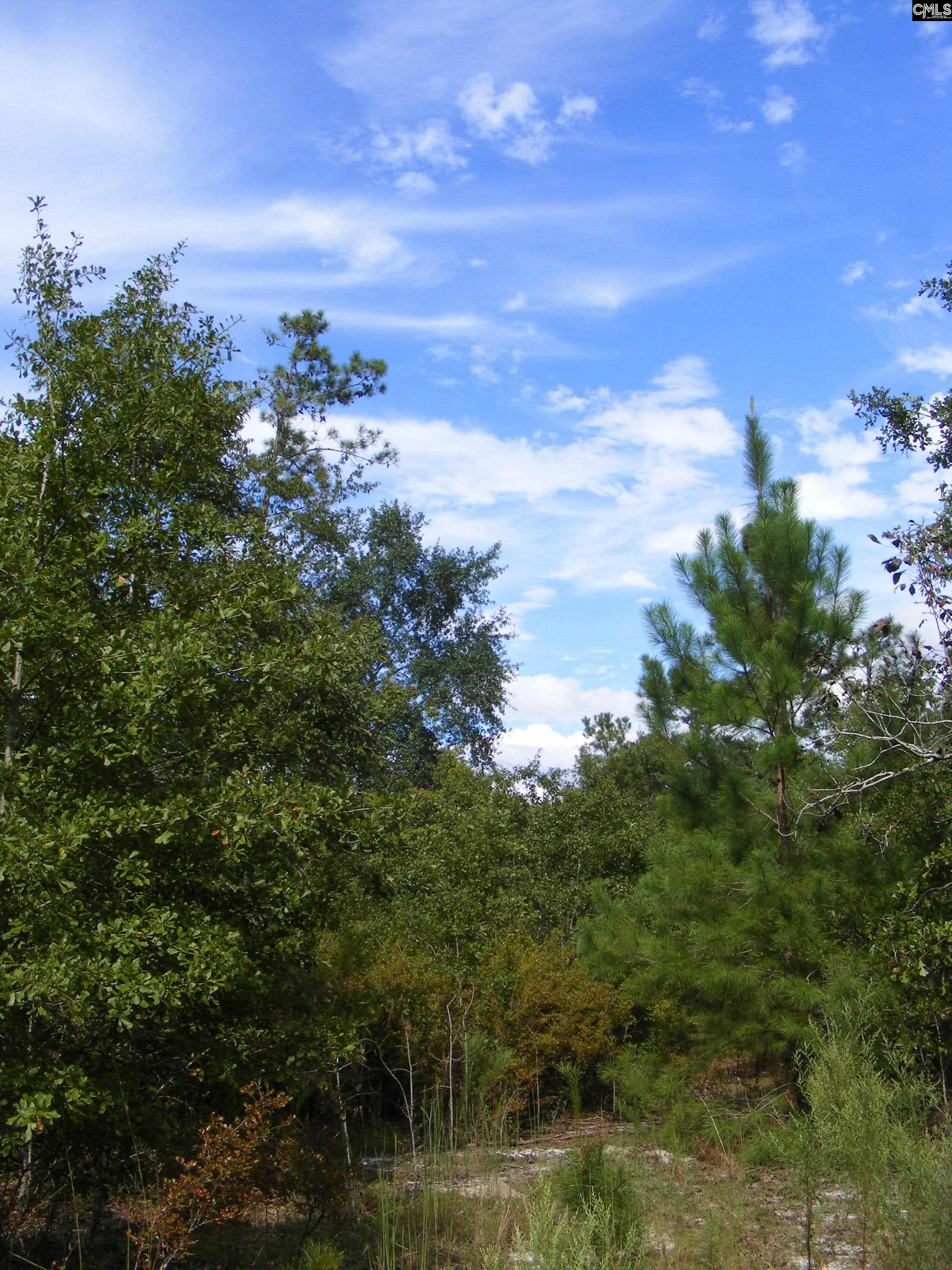 00 Az Road, North, South Carolina image 15
