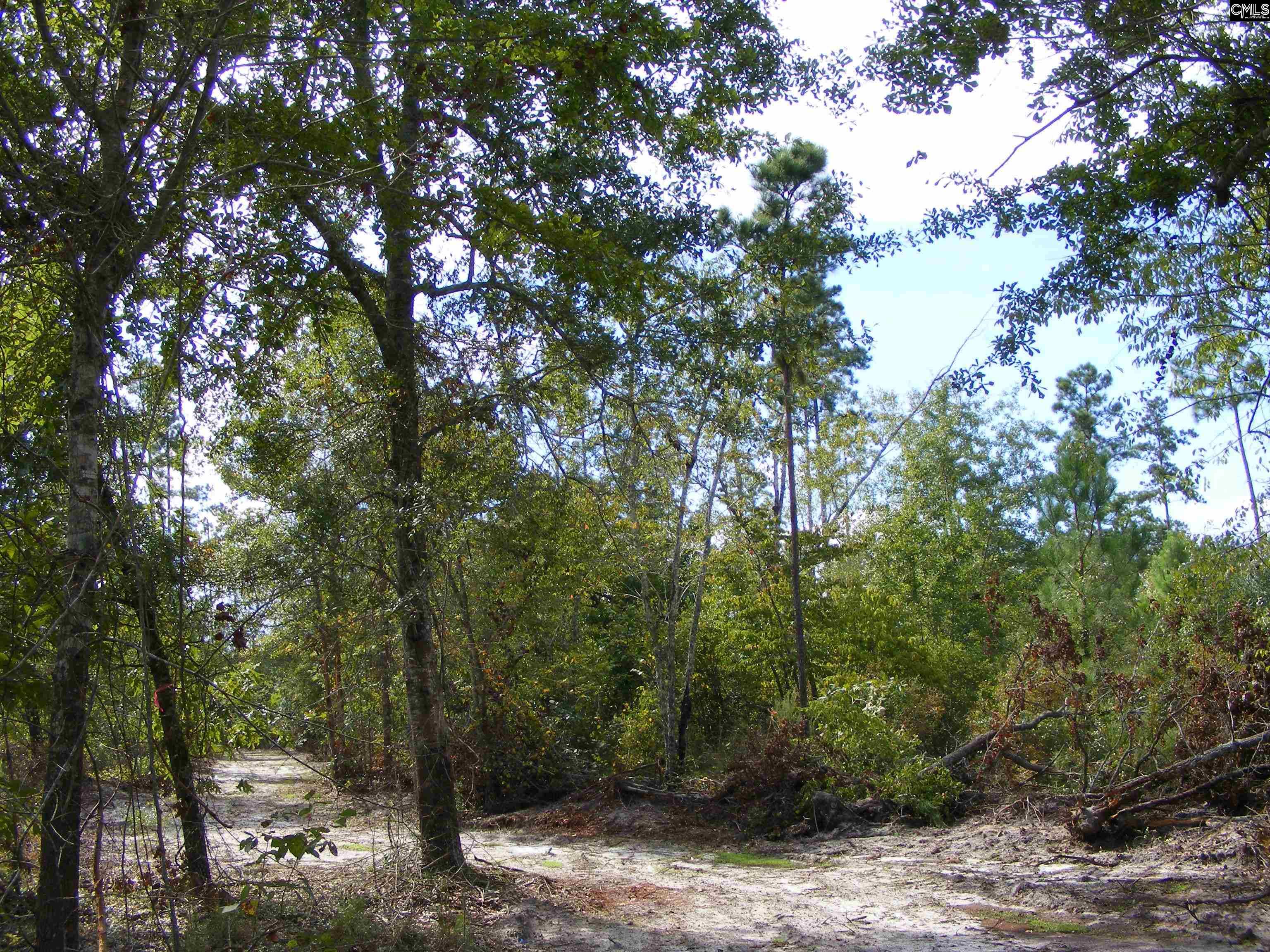 00 Az Road, North, South Carolina image 17