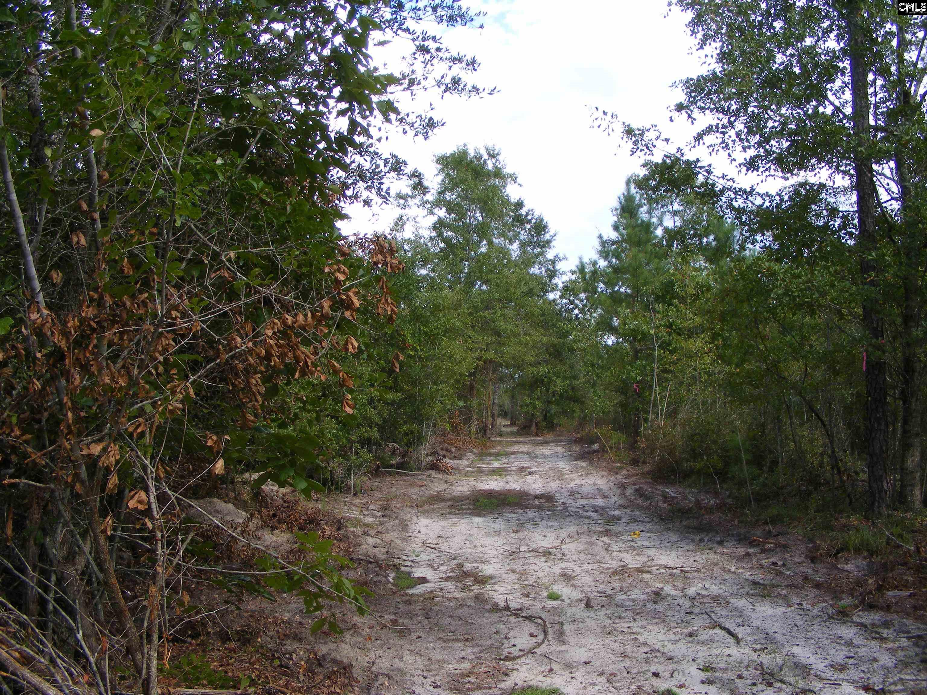 00 Az Road, North, South Carolina image 3
