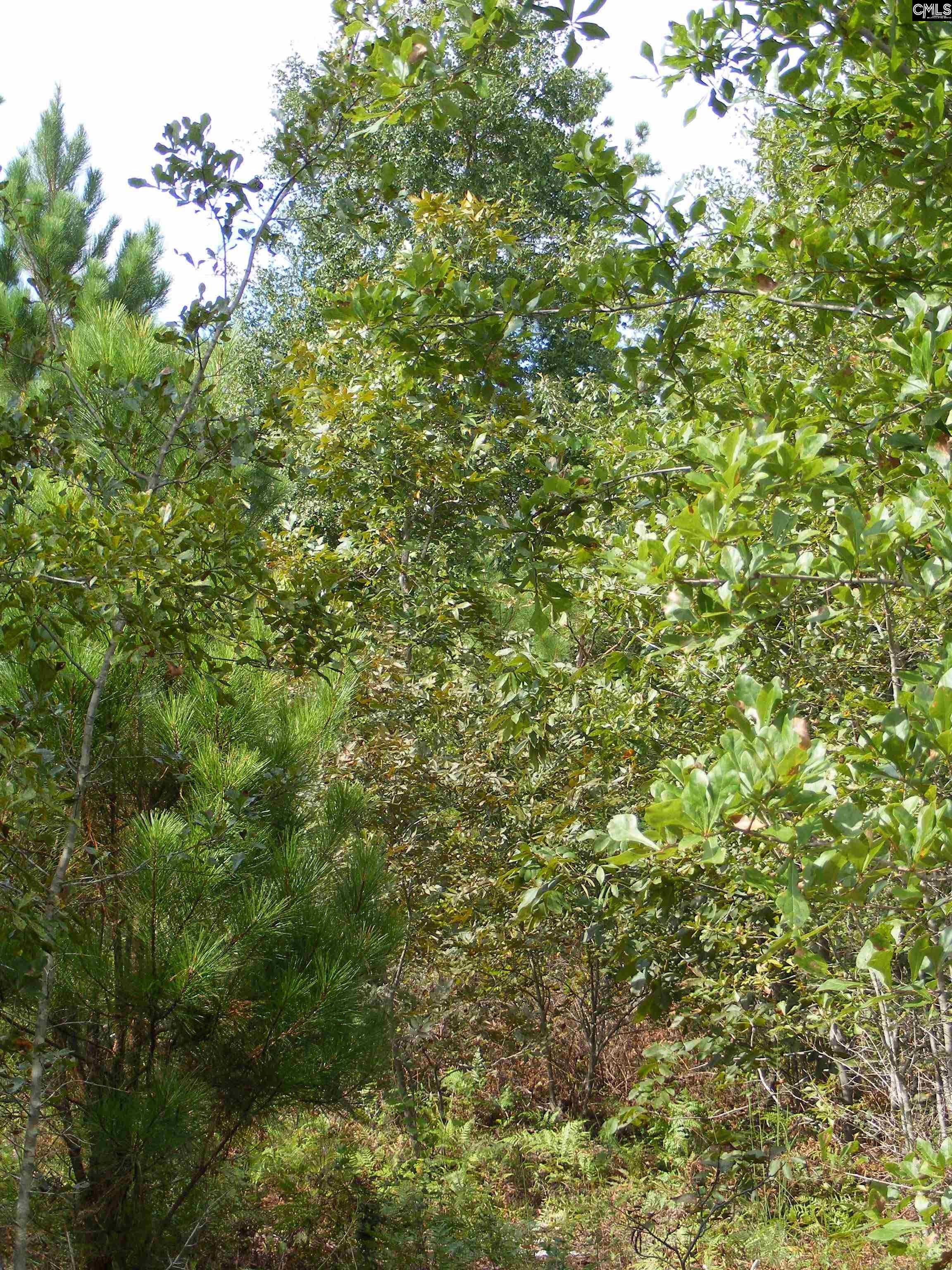00 Az Road, North, South Carolina image 6