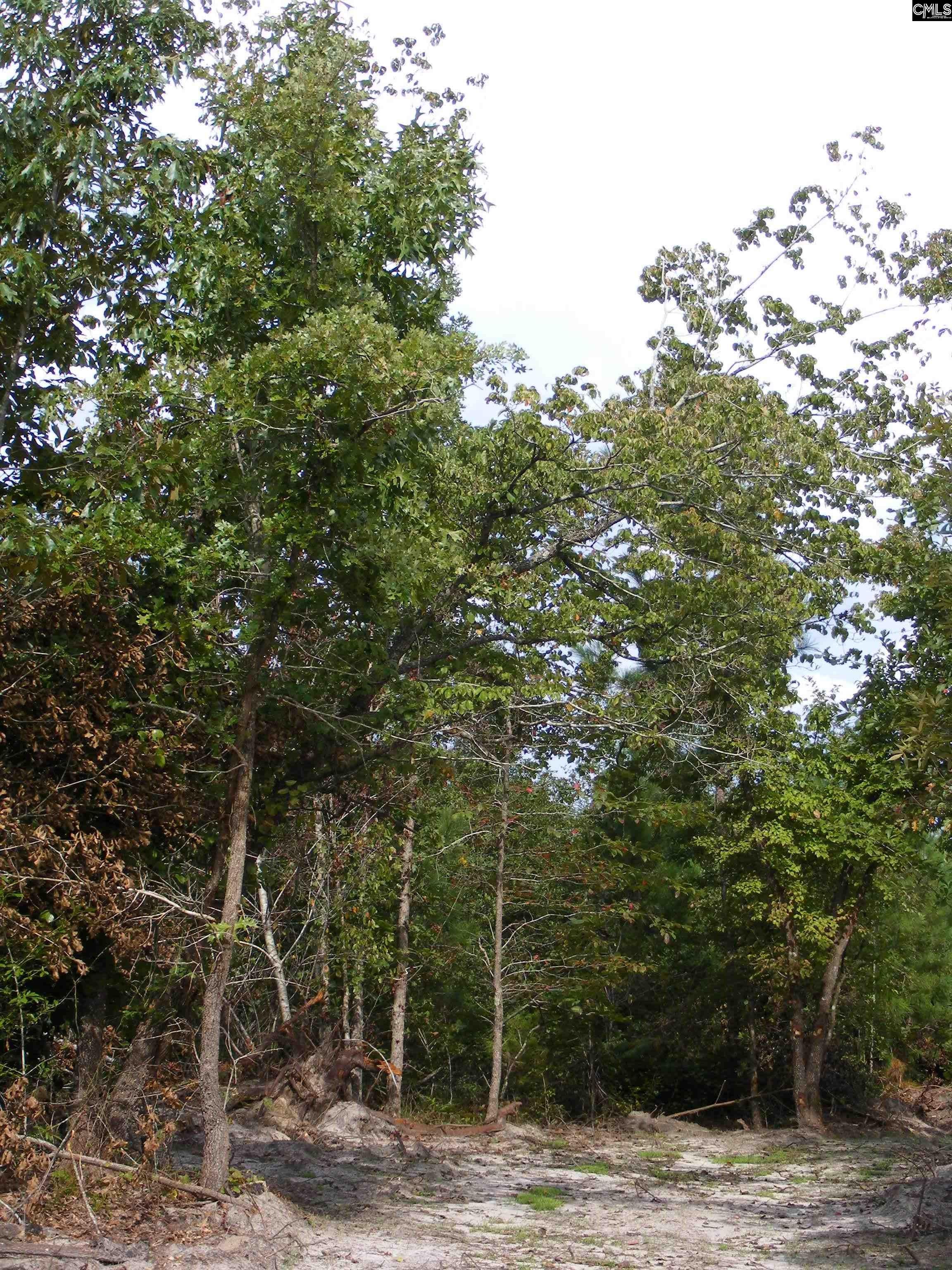 00 Az Road, North, South Carolina image 7