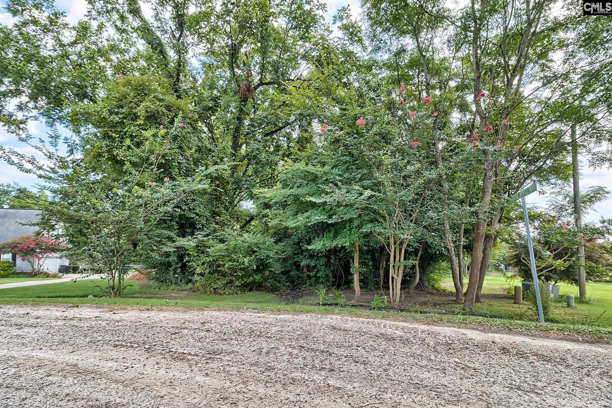 419 Blackberry Place, Lugoff, South Carolina image 14
