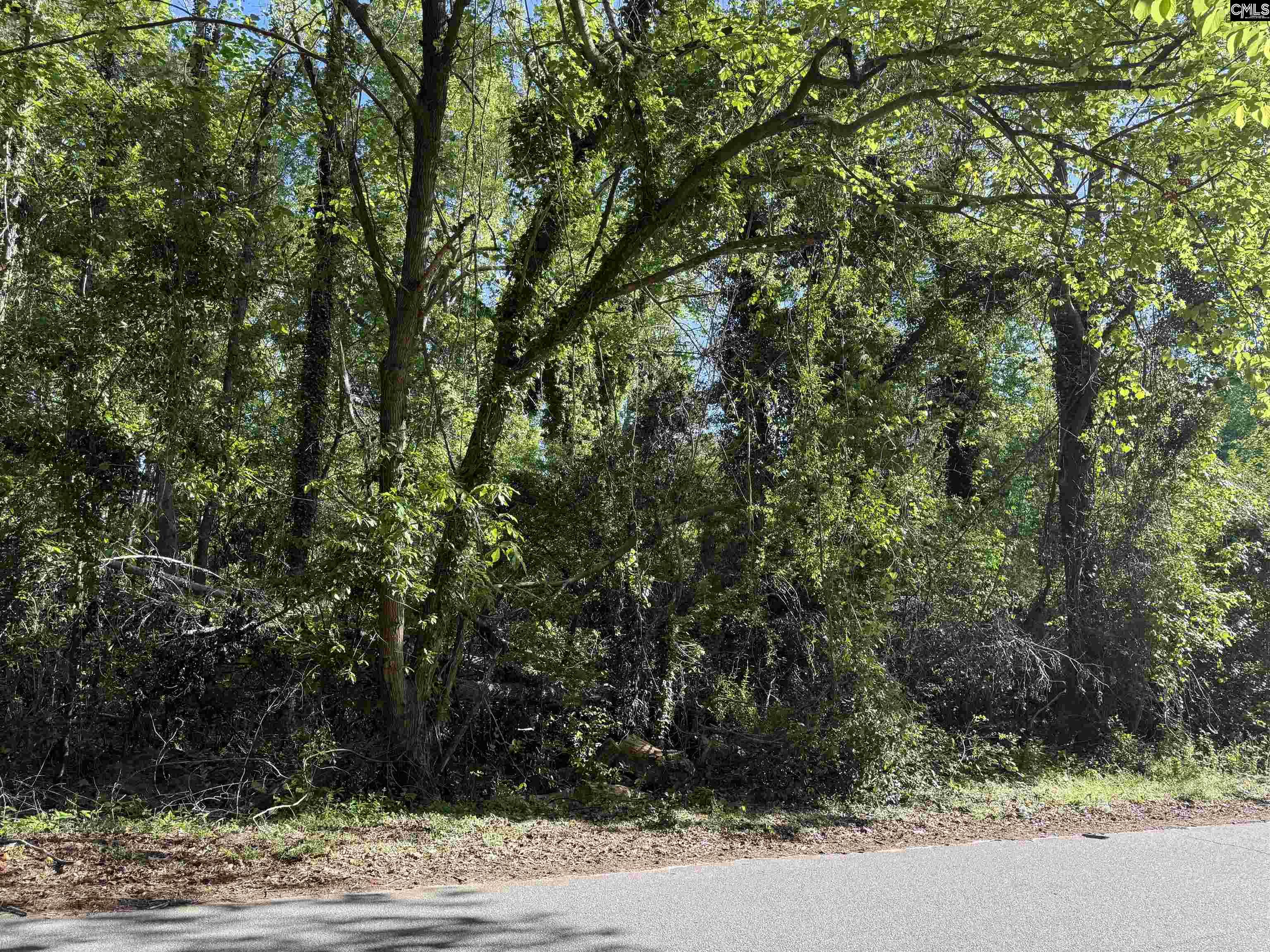 Solomon Street Batesburg, SC 29006