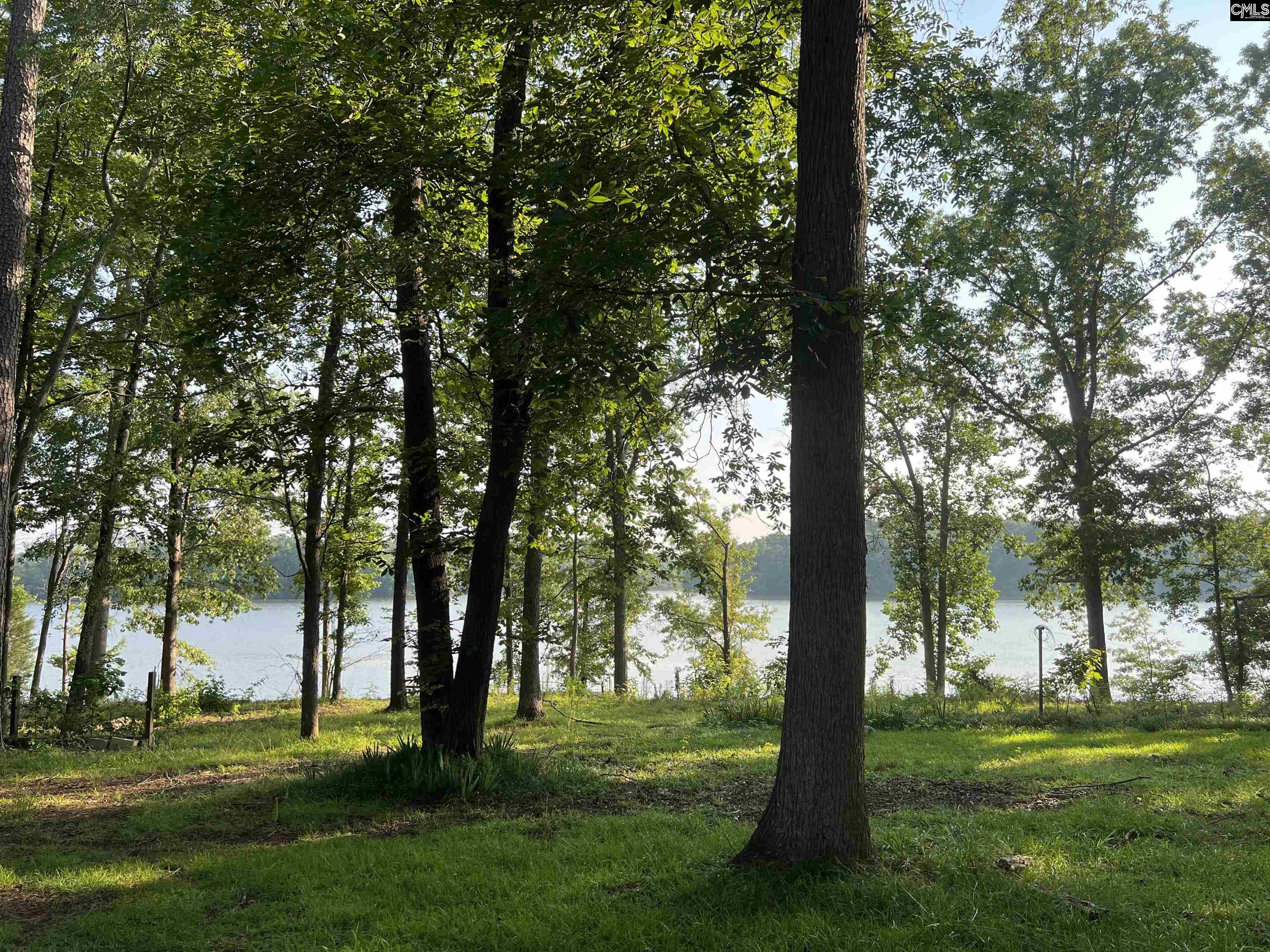 575 Lakeview Road, Newberry, South Carolina image 3
