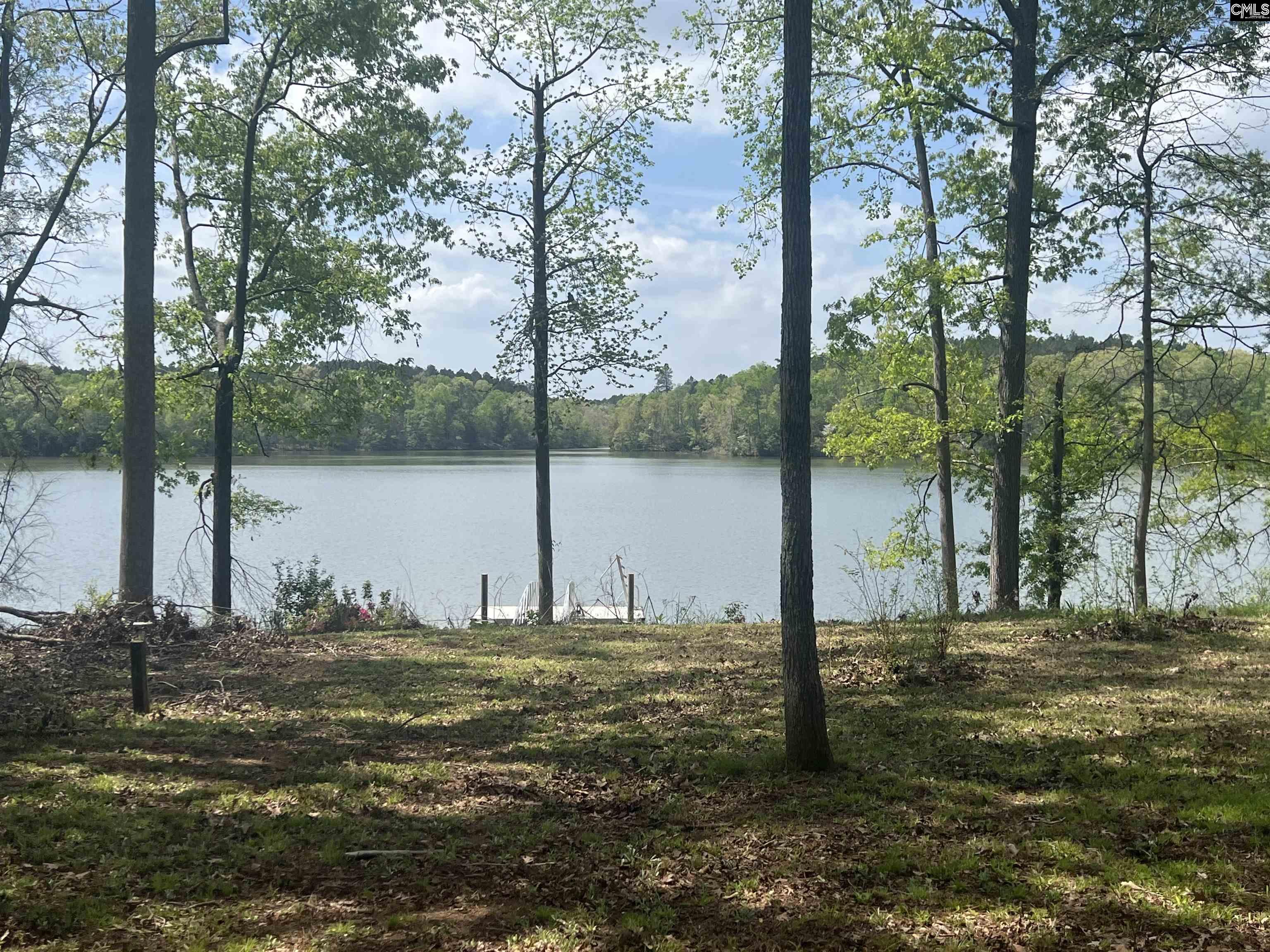 575 Lakeview Road, Newberry, South Carolina image 4