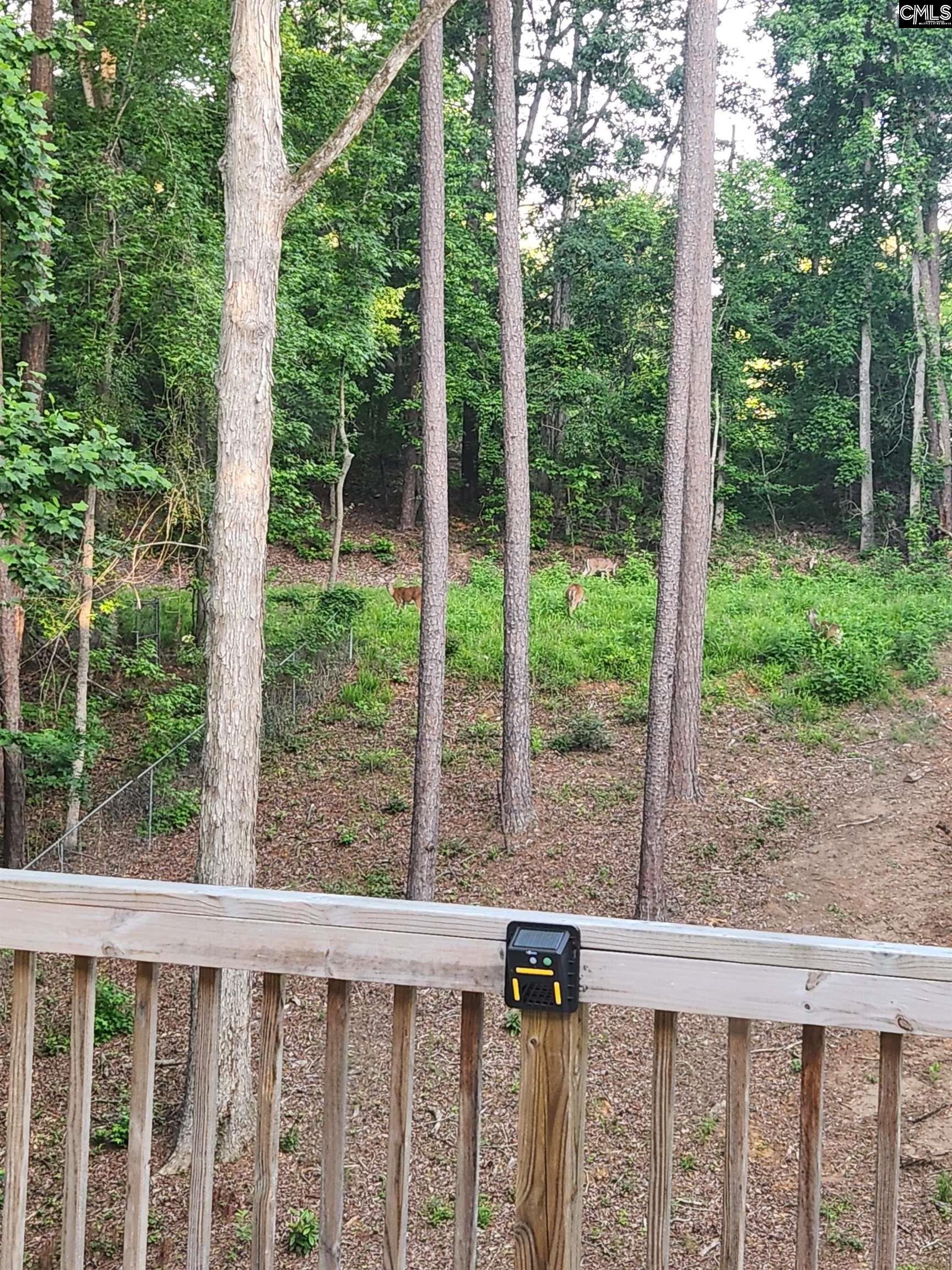 319 Hearthstone Road Columbia, SC 29210