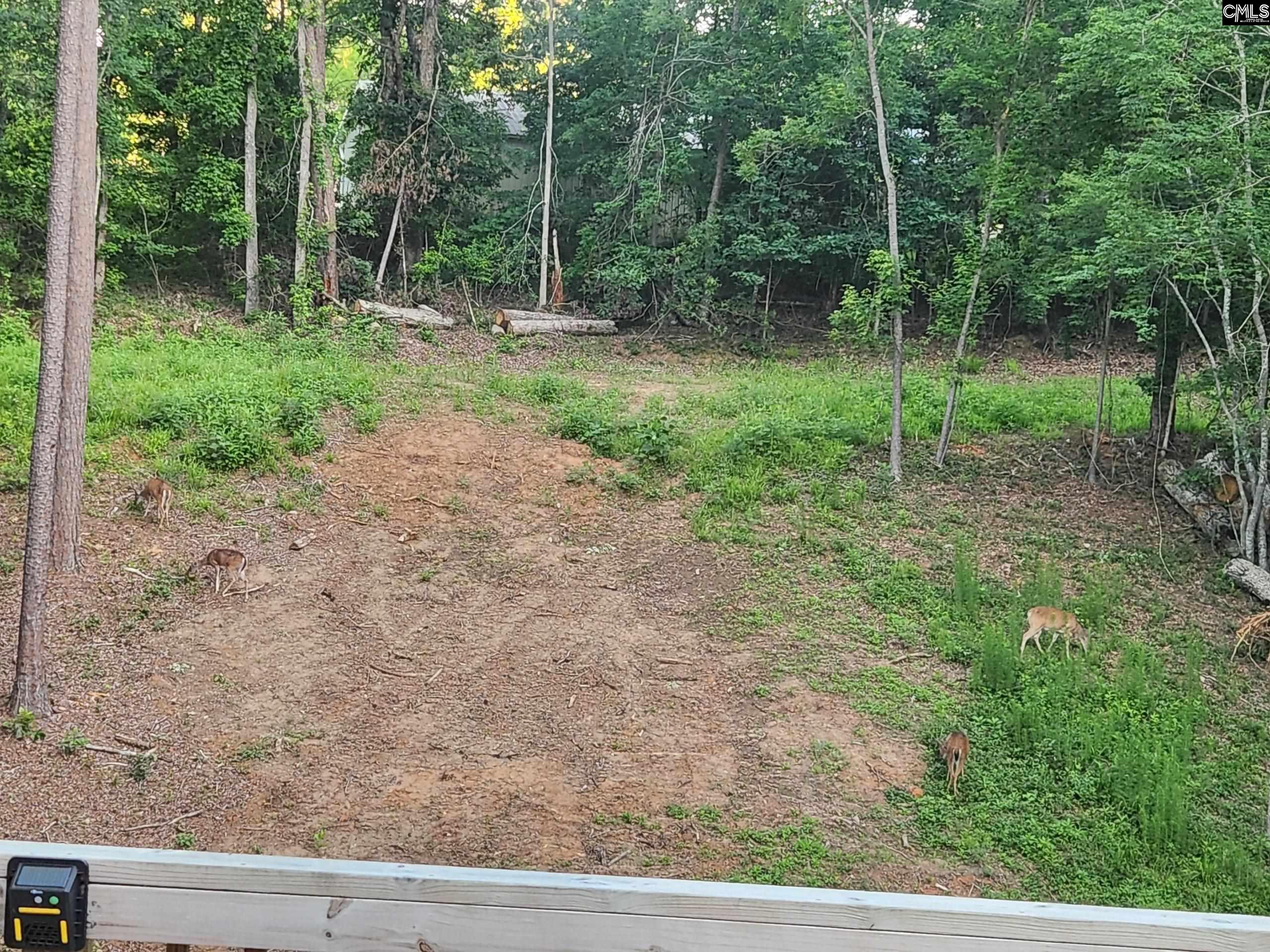 319 Hearthstone Road Columbia, SC 29210