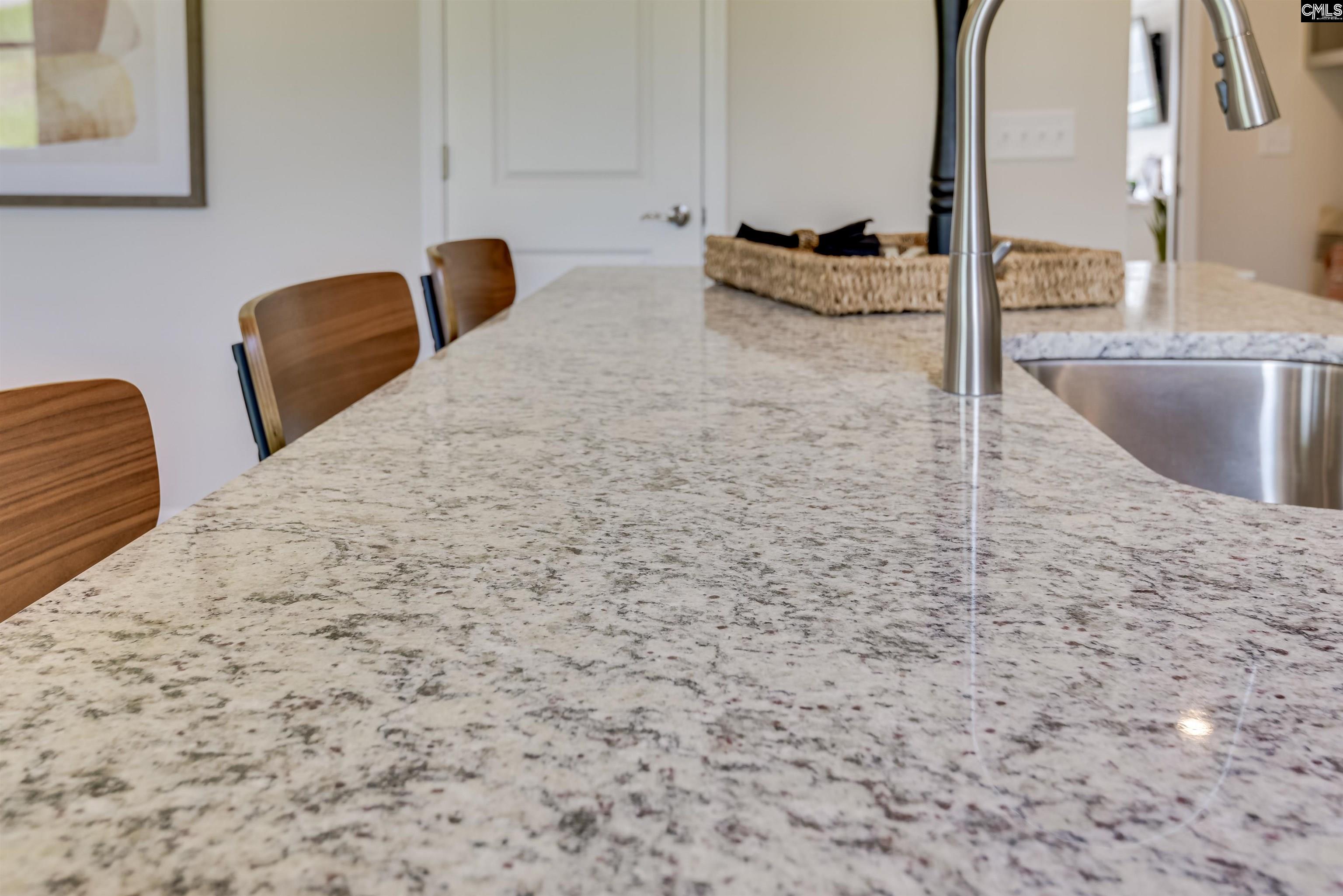 904 Gold Ventura Court, Lexington, South Carolina image 7