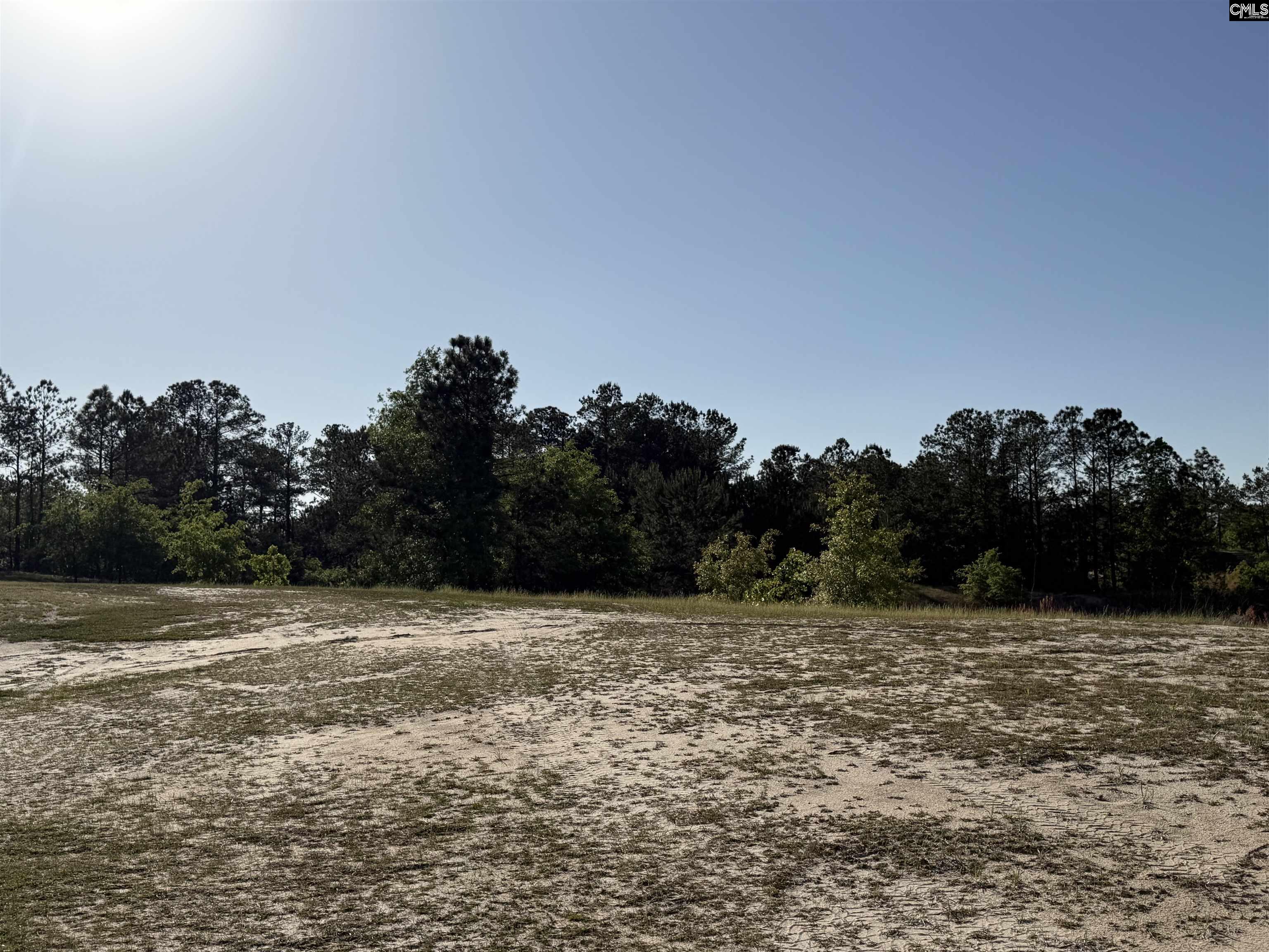 234 Mckade Lane, Leesville, South Carolina image 1