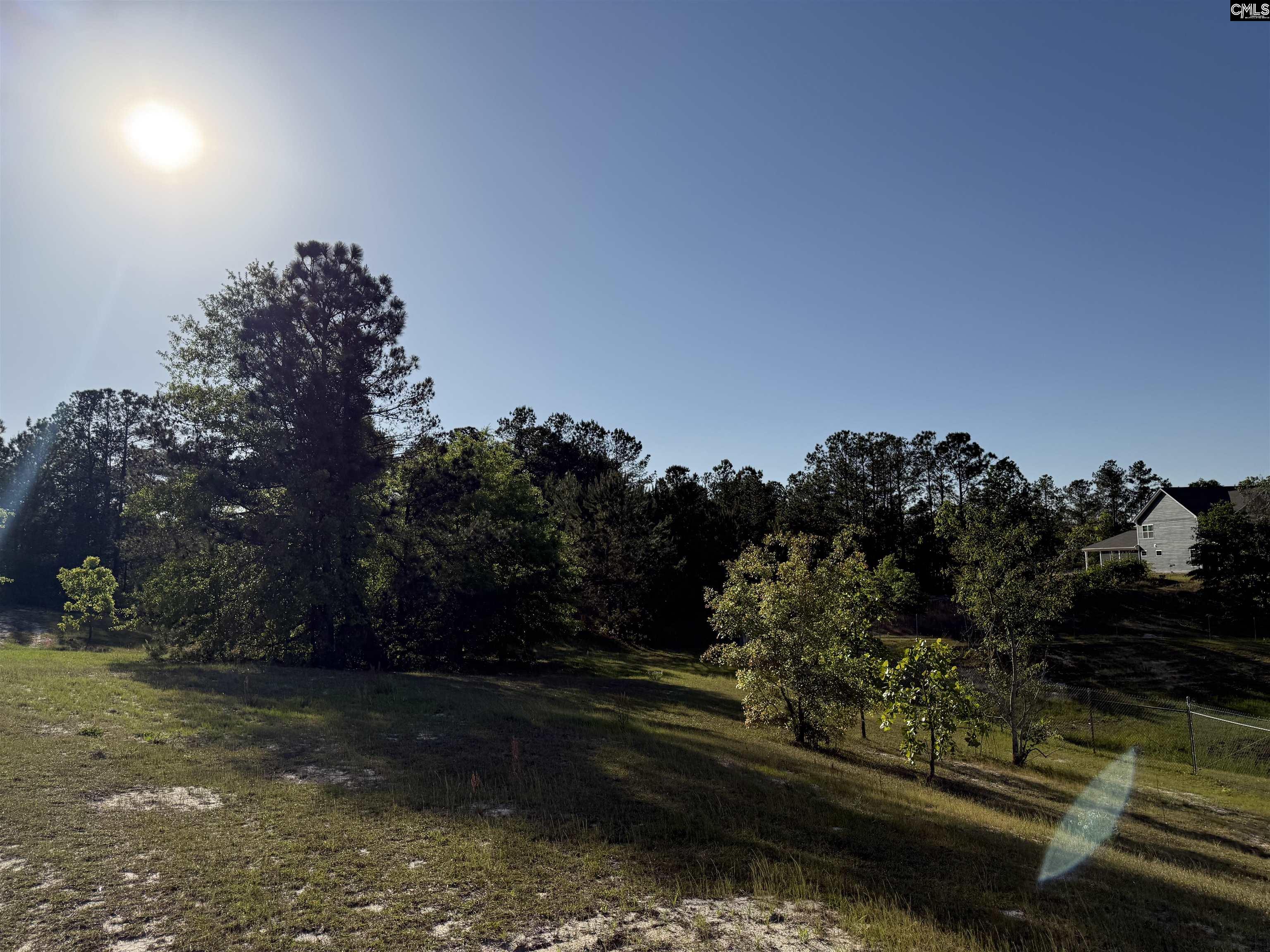 234 Mckade Lane, Leesville, South Carolina image 2