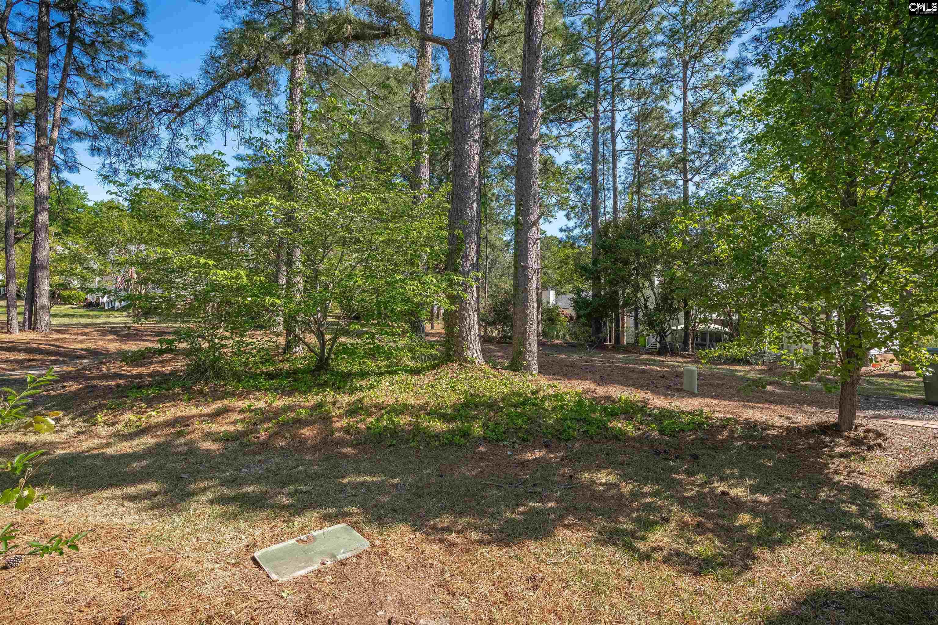 95 N Lake Pointe Drive, Columbia, South Carolina image 5