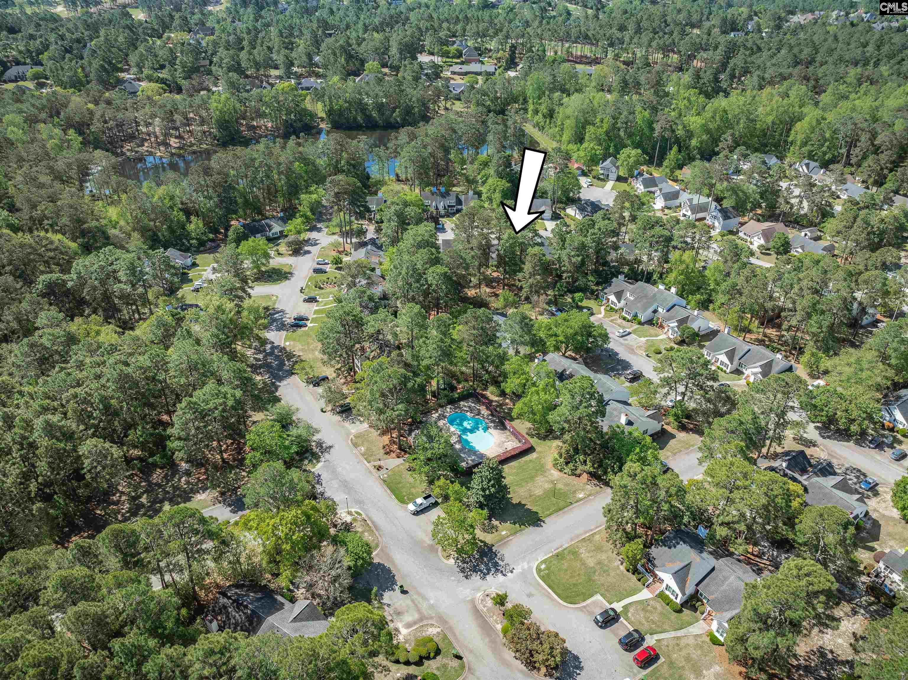 95 N Lake Pointe Drive, Columbia, South Carolina image 7