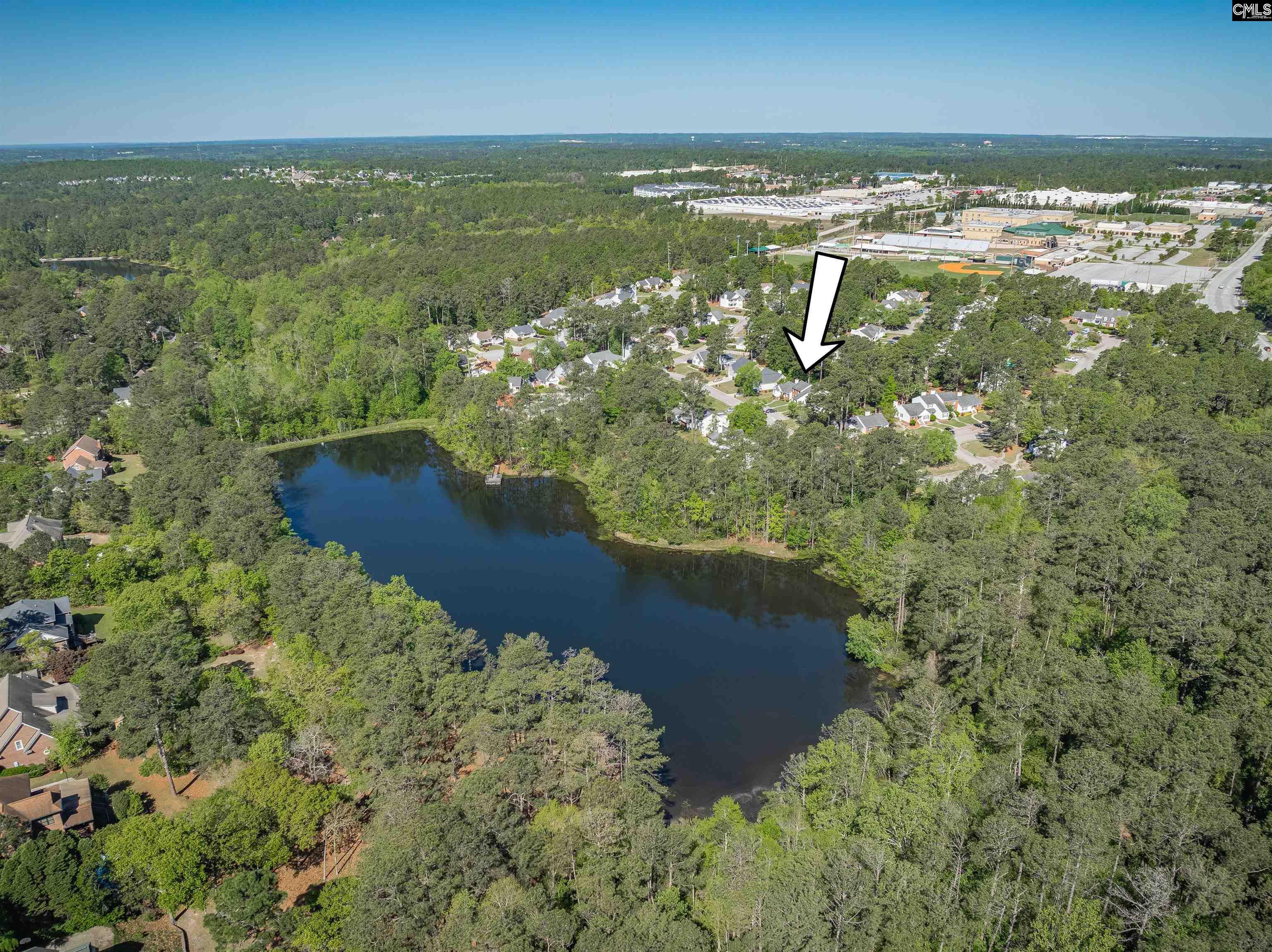 95 N Lake Pointe Drive, Columbia, South Carolina image 8