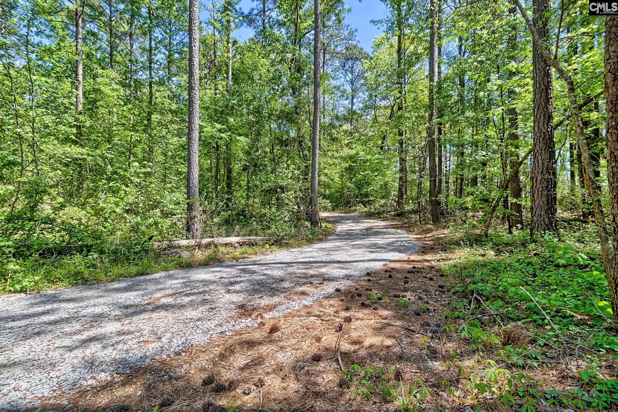 191 Bundrick Road, Pomaria, South Carolina image 6