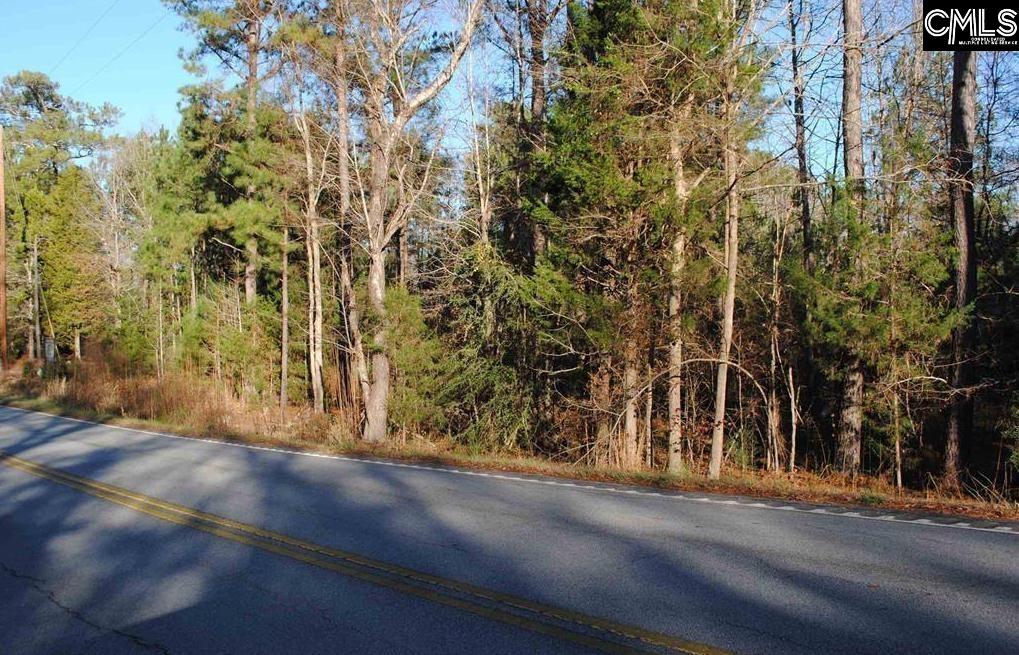 E/S Old Hilton Road Chapin, SC 29036