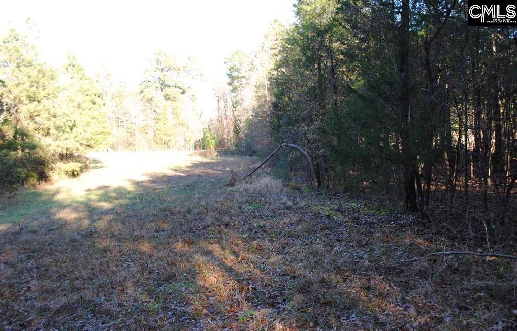 E/S Old Hilton Road Chapin, SC 29036